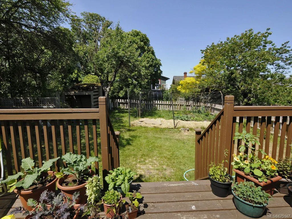 Backyard view from elevated deck with mature trees