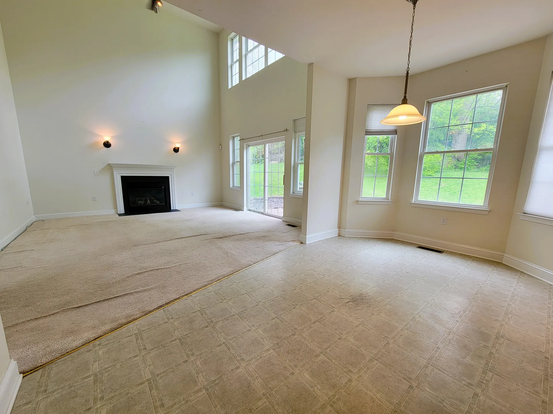 Vaulted ceiling living and dining area