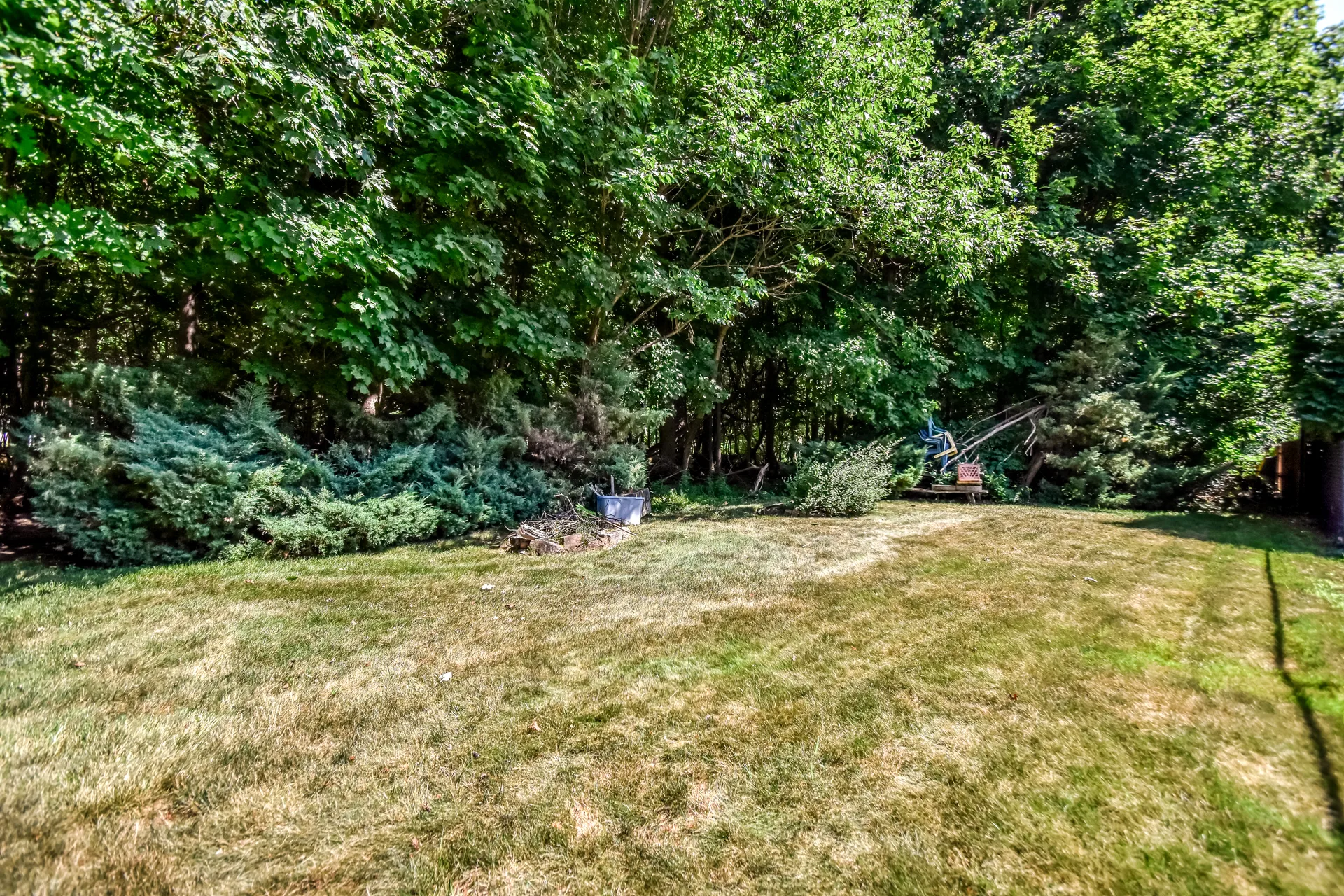 Wide backyard view with mature tree line