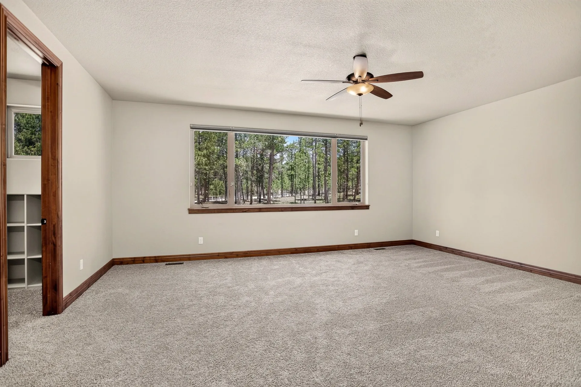 Bedroom with wood trim and pine tree view