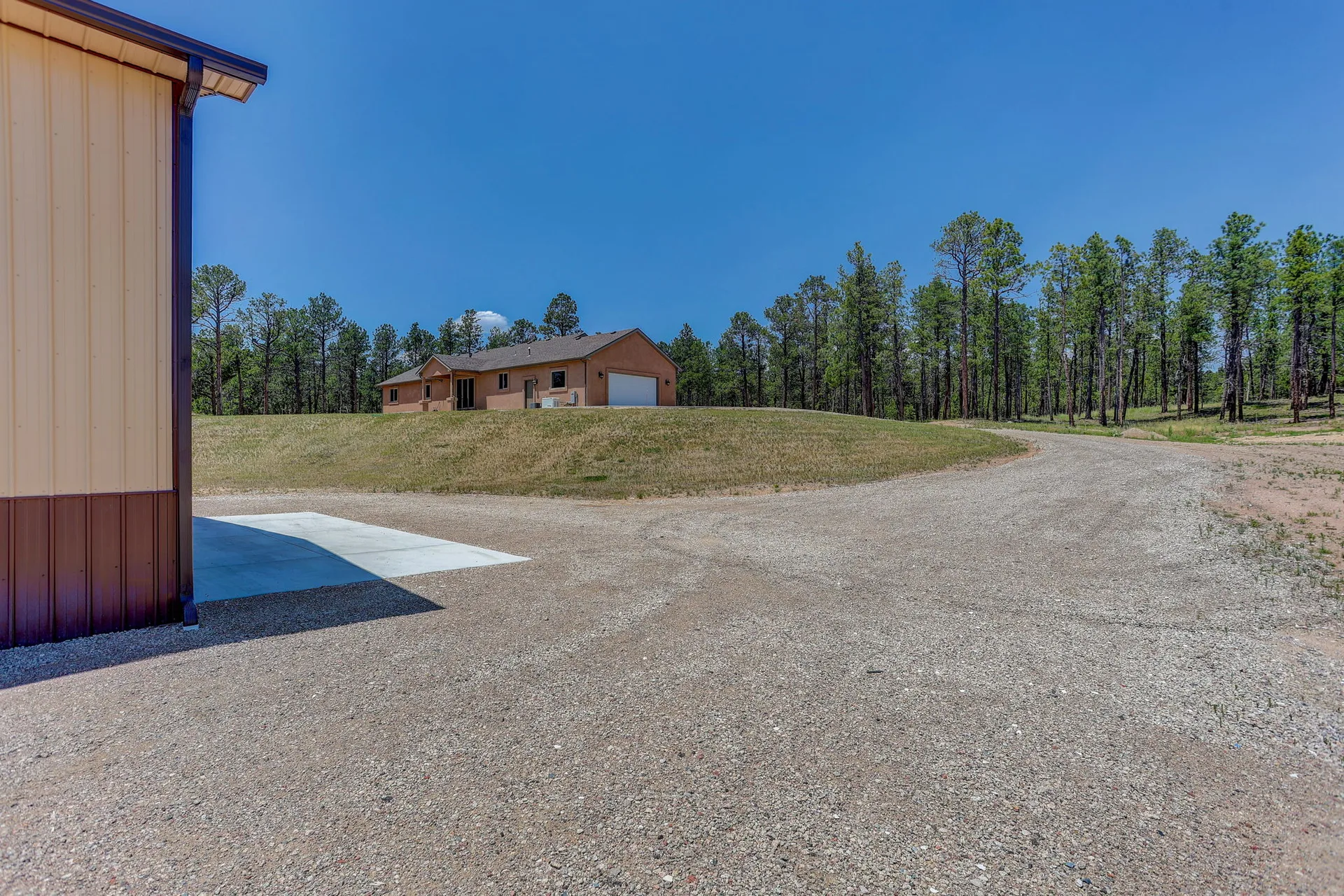 Property view from driveway showing home and surrounding pine forest