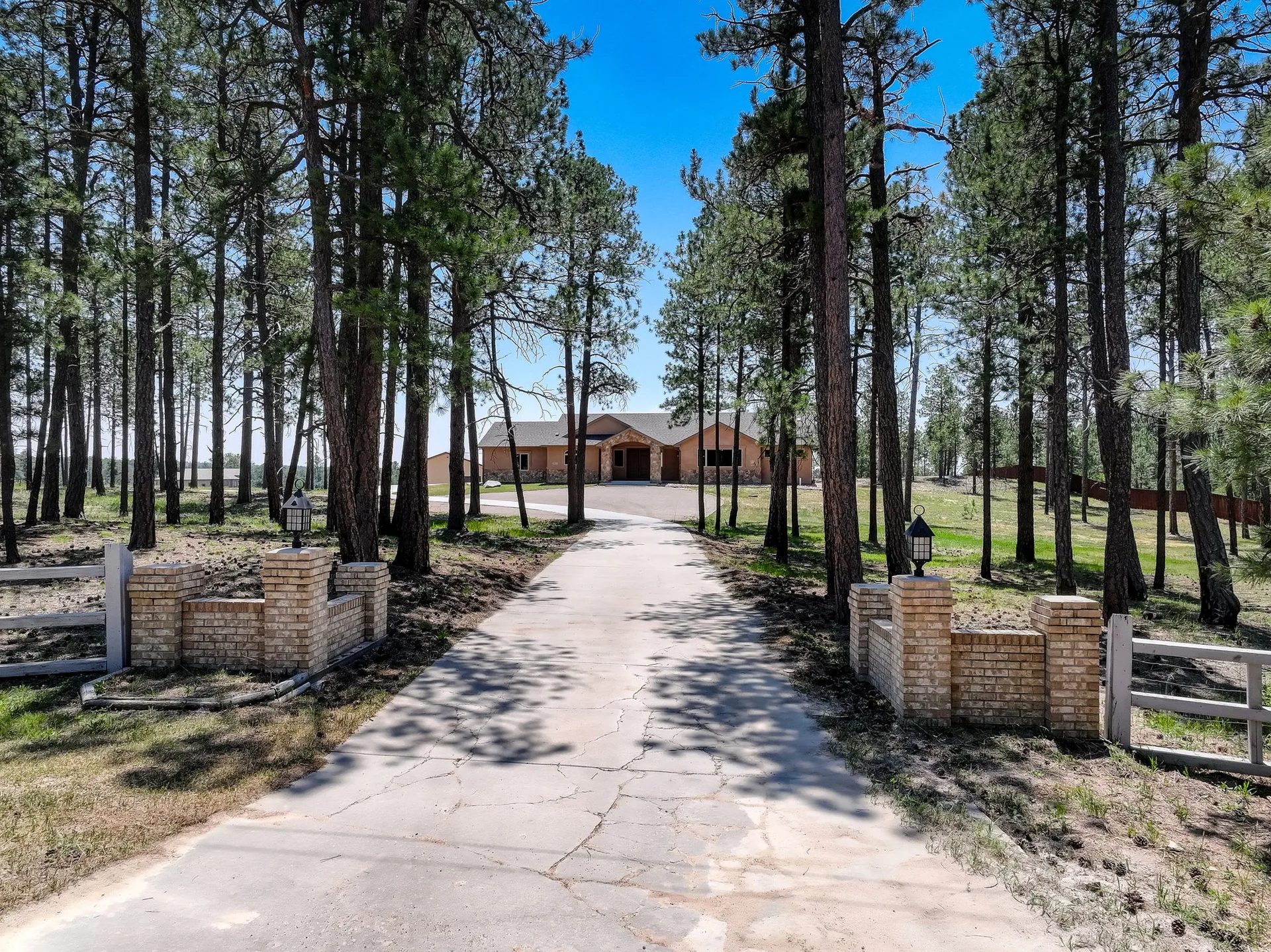 Entry gate and long driveway leading to the house through pine trees