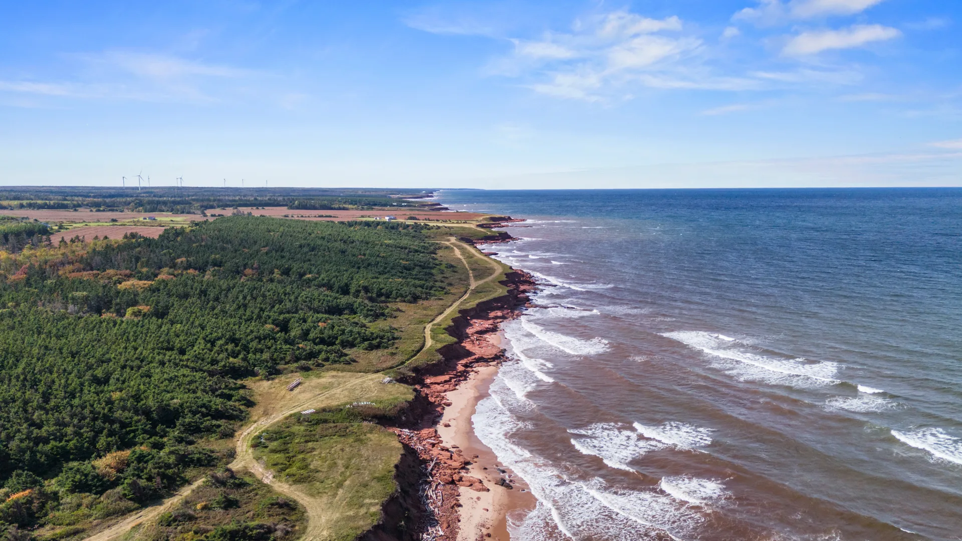 Coastal Drone