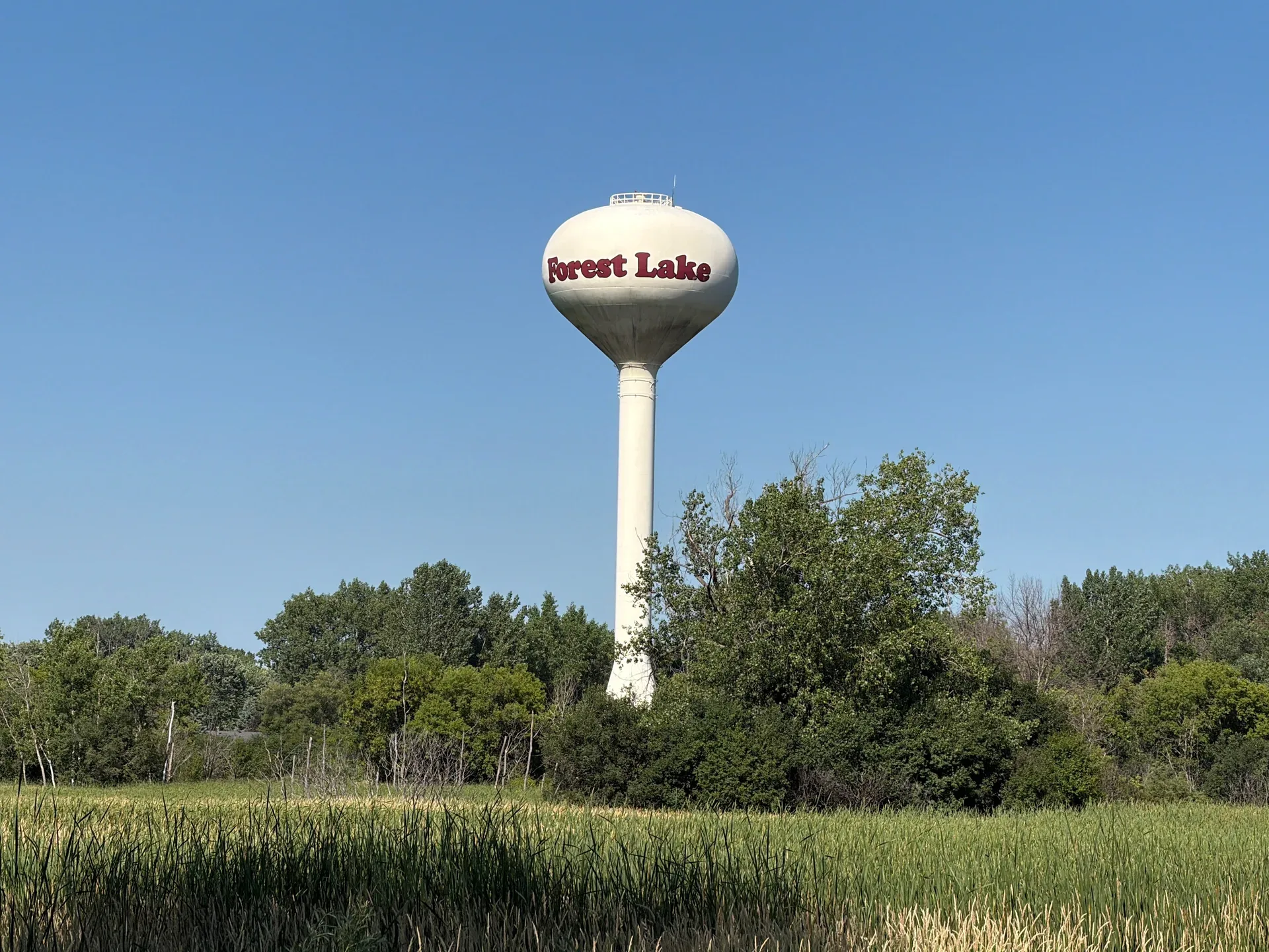 Forest Lake water tower standing tall above trees and grasses under a blue sky