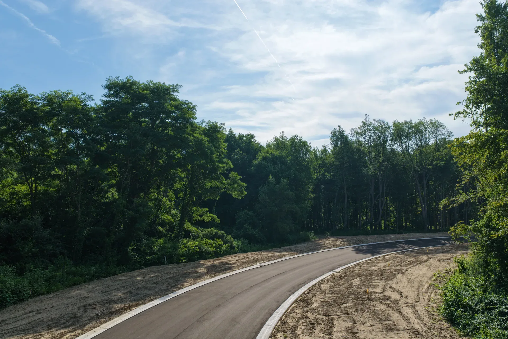 Drone photo of a wooded access road leading into the Oaks of Tyrone development with tall trees lining the drive