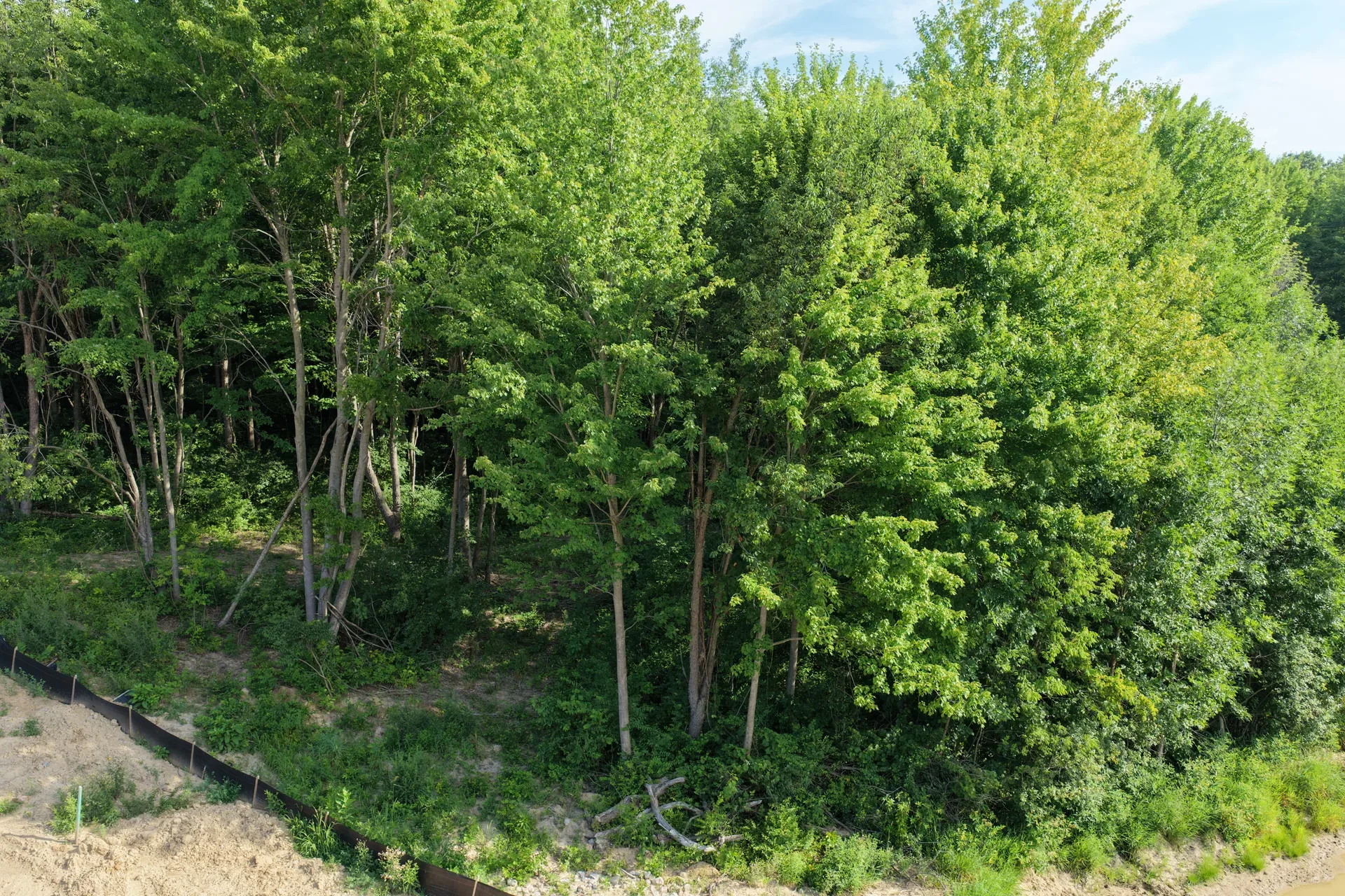 Drone view looking across a wooded lot at Oaks of Tyrone with dense forest canopy and open building envelope