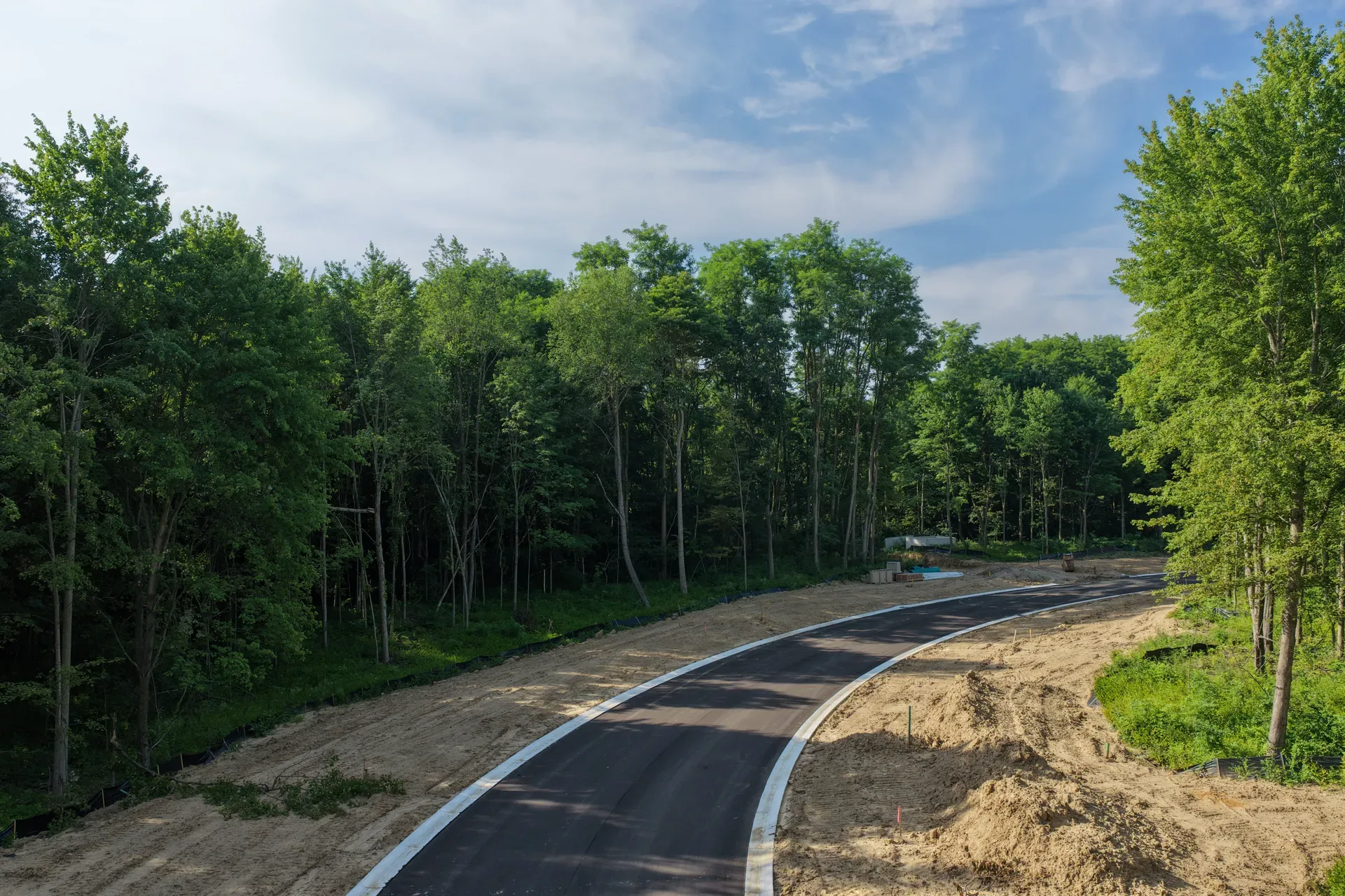 Aerial photo of an undeveloped road through the forest at Oaks of Tyrone with trees arching overhead