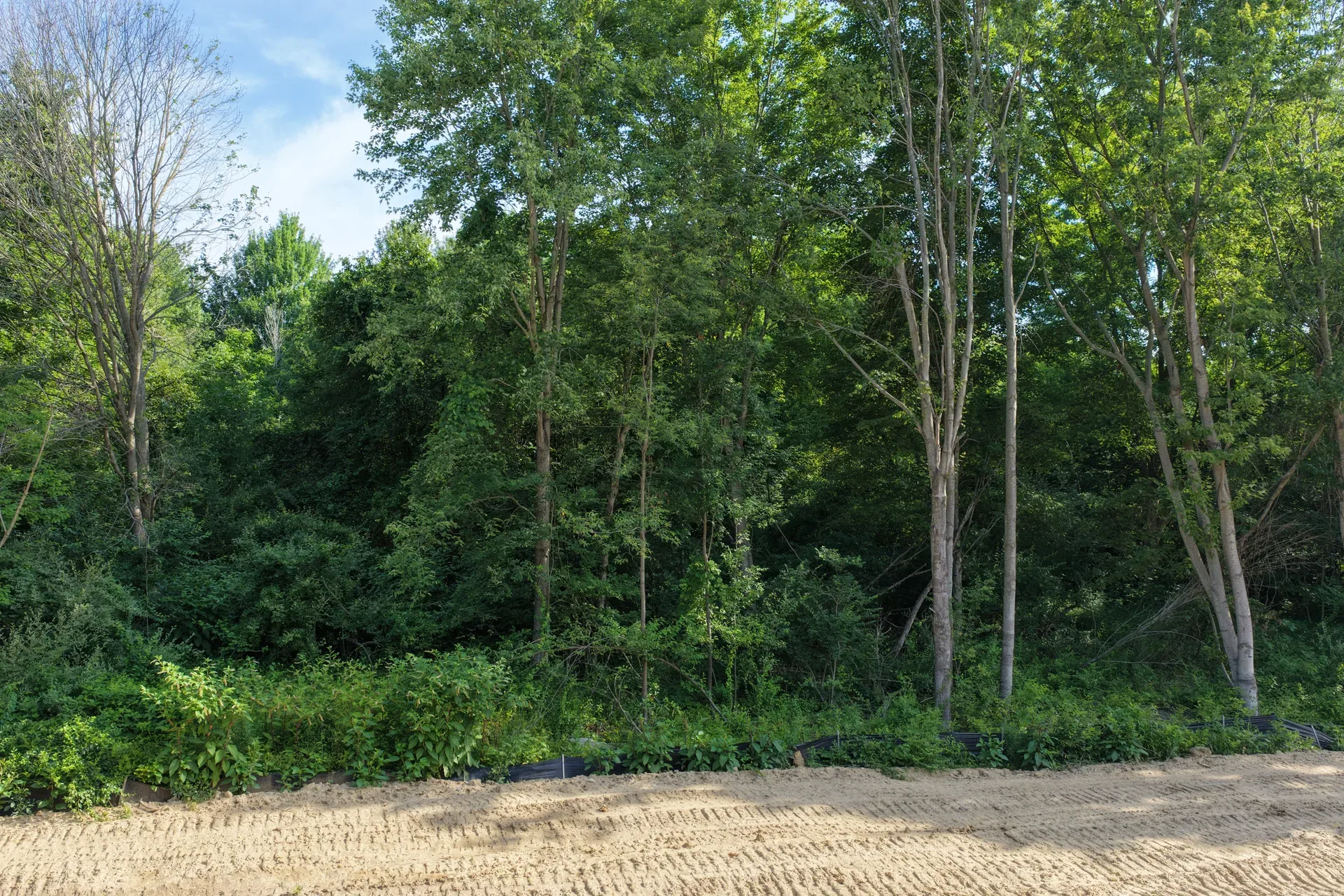 Drone view of an undeveloped wooded lot at Oaks of Tyrone showing the lush natural landscape preserved by Big Sky Development