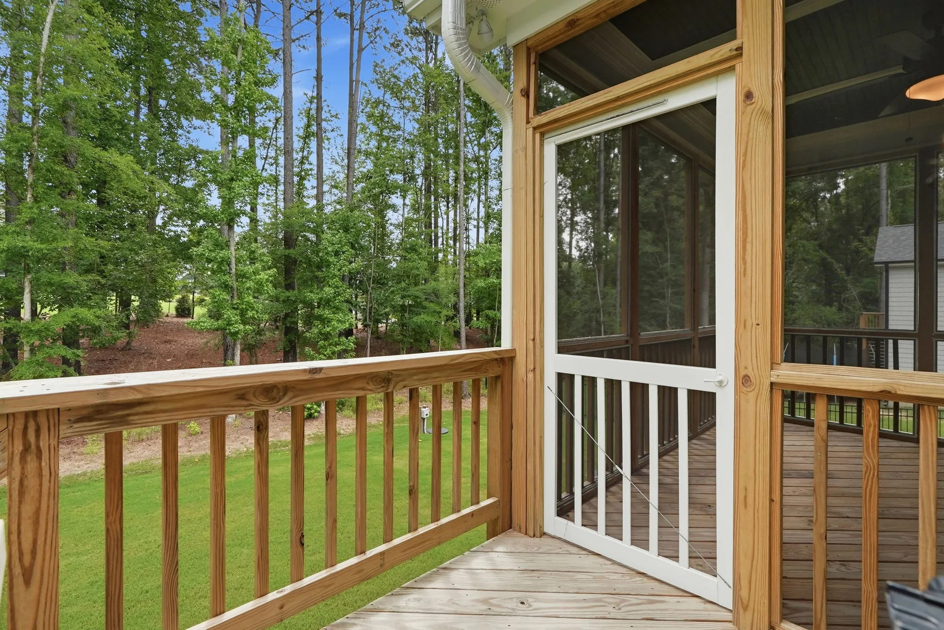 View from screened porch to backyard