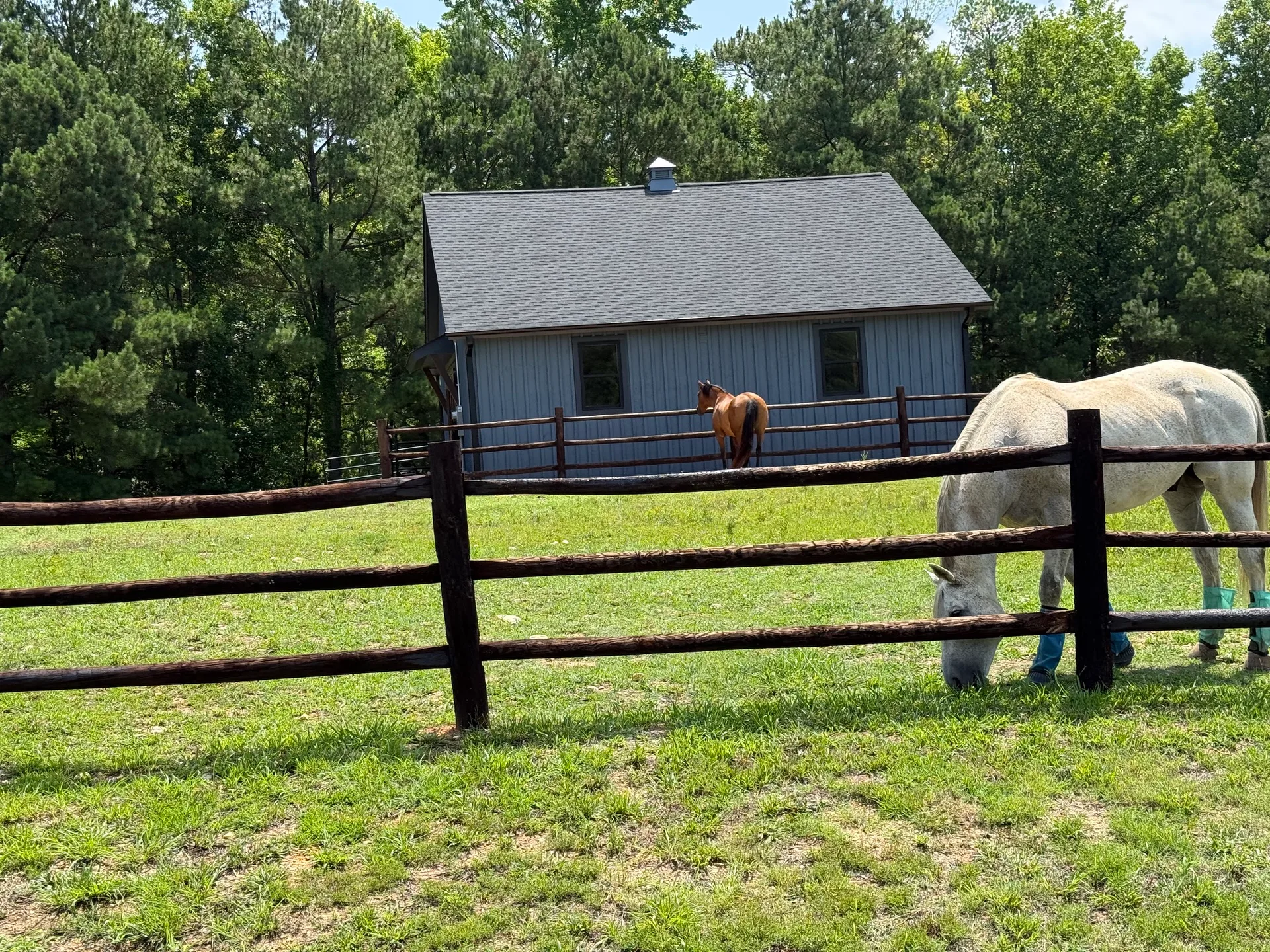 Equestrian facility with horses in pasture