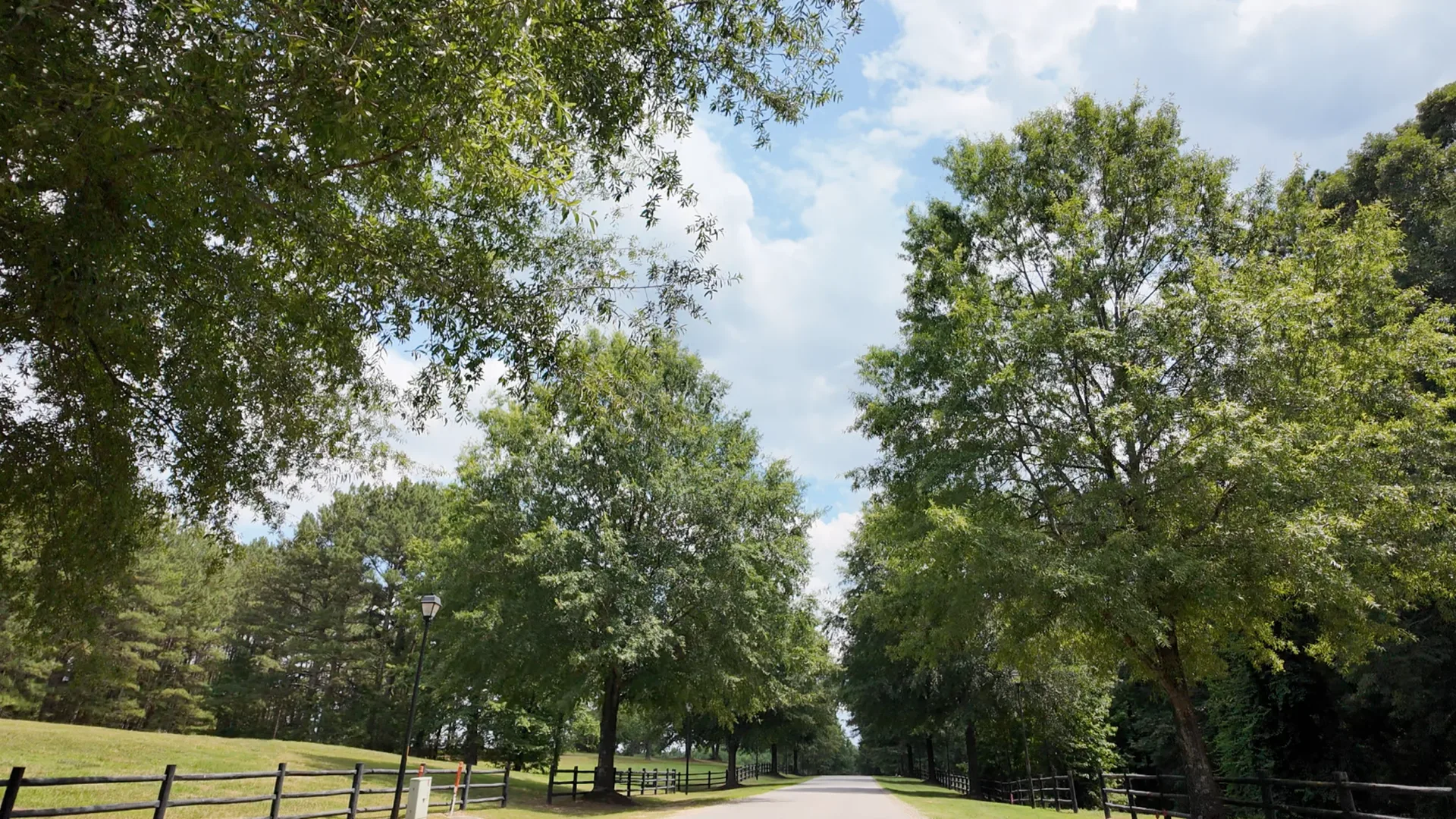 Tree-lined neighborhood road with split-rail fencing