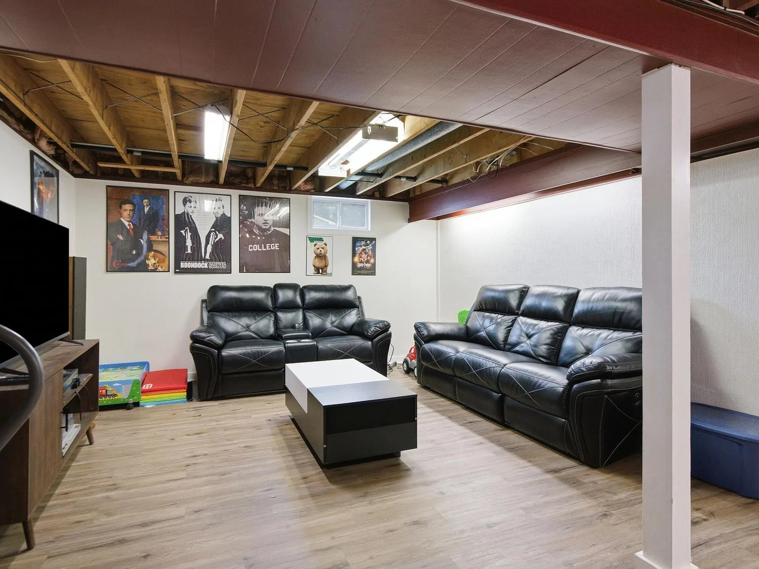 Partially finished basement recreation room
