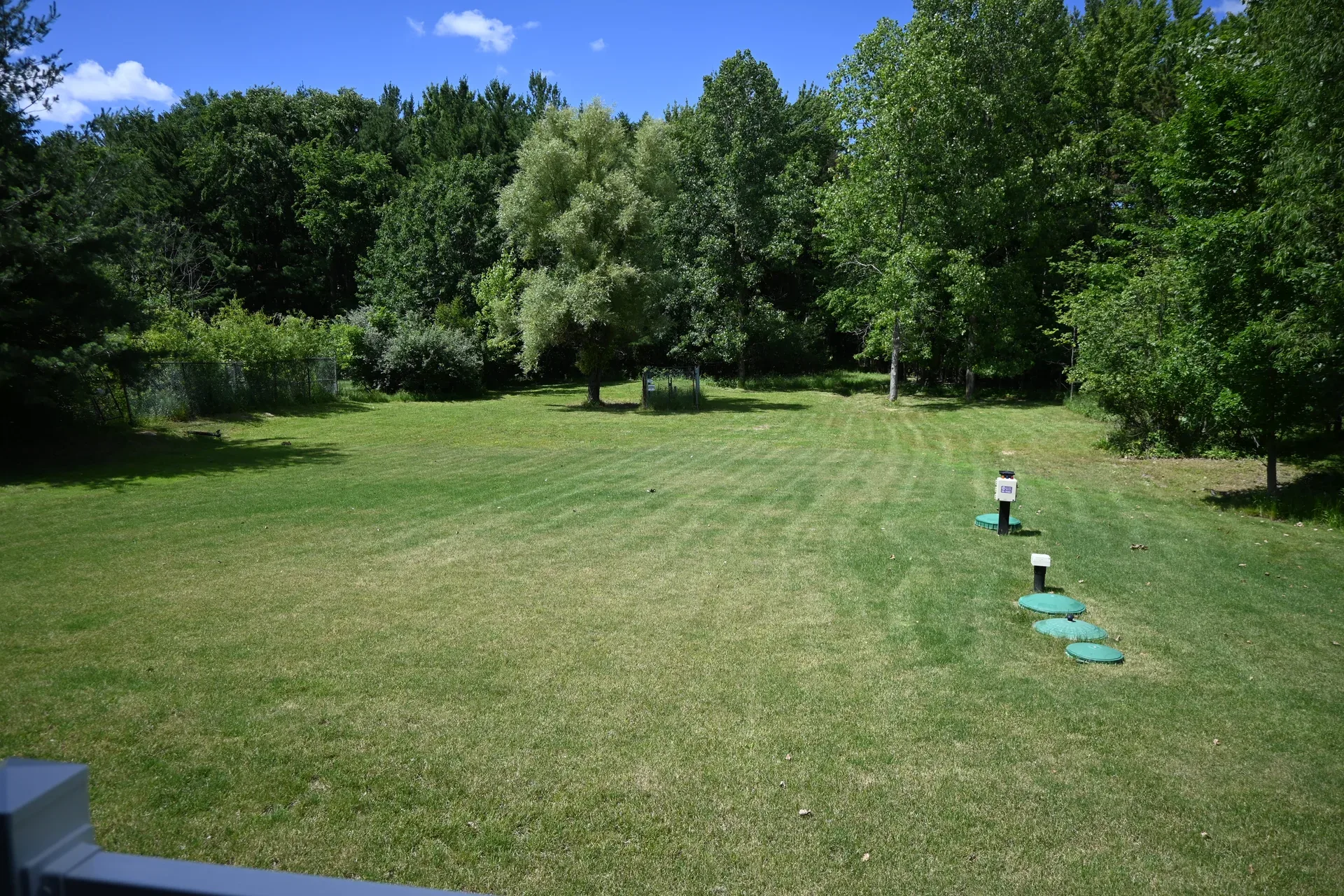 Partially wooded backyard with maintained lawn
