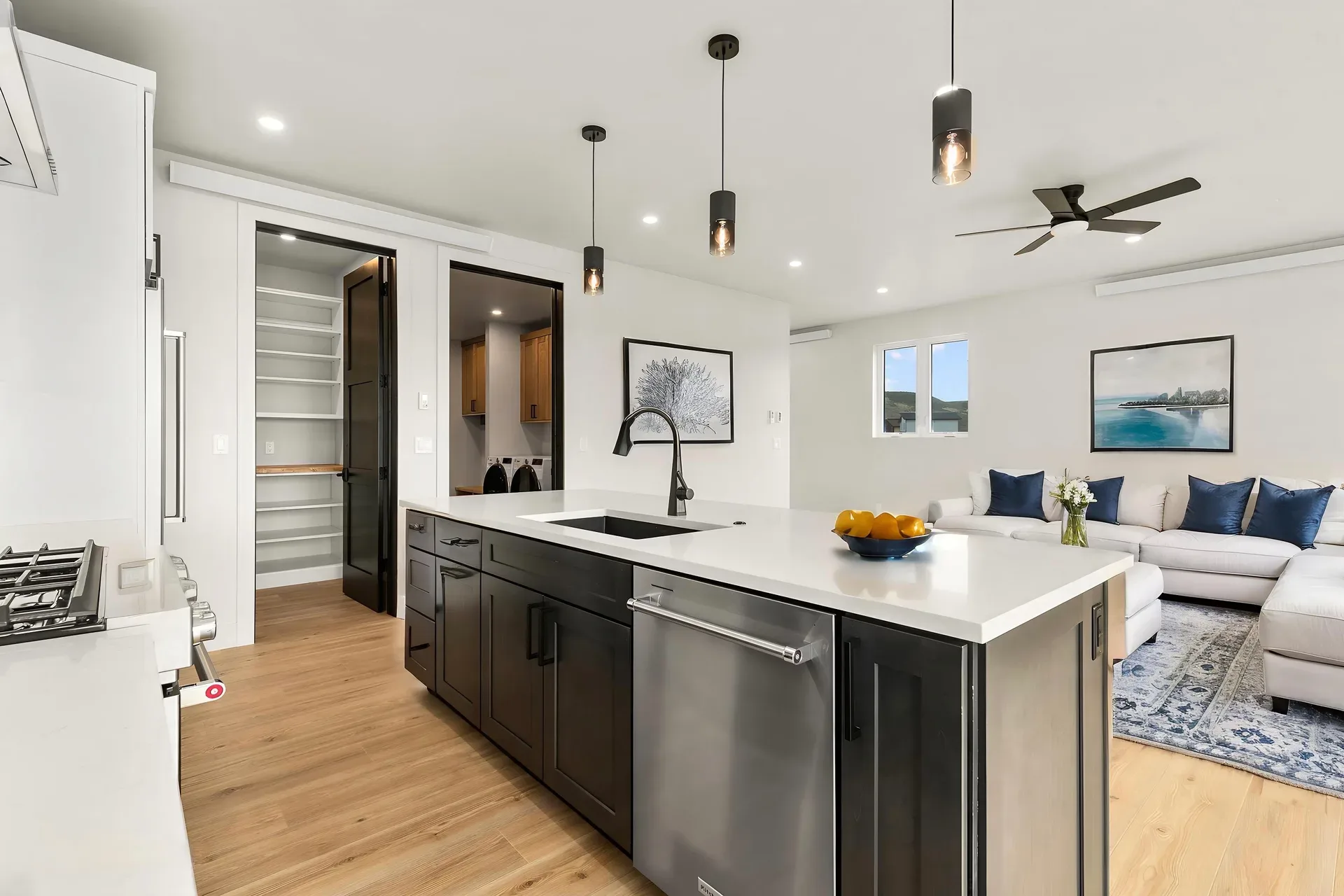 Kitchen and living room open-concept layout