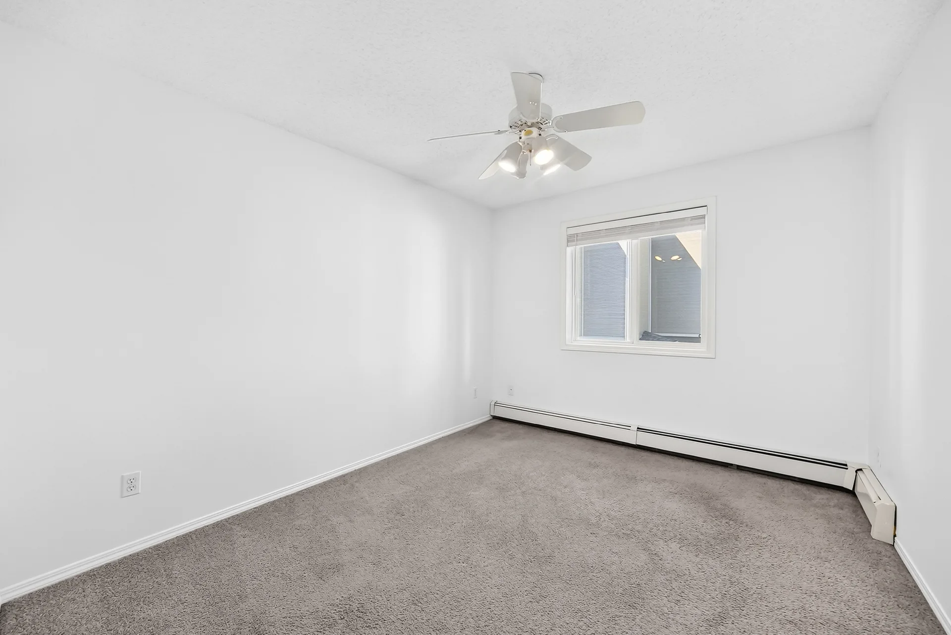 Primary bedroom with natural light