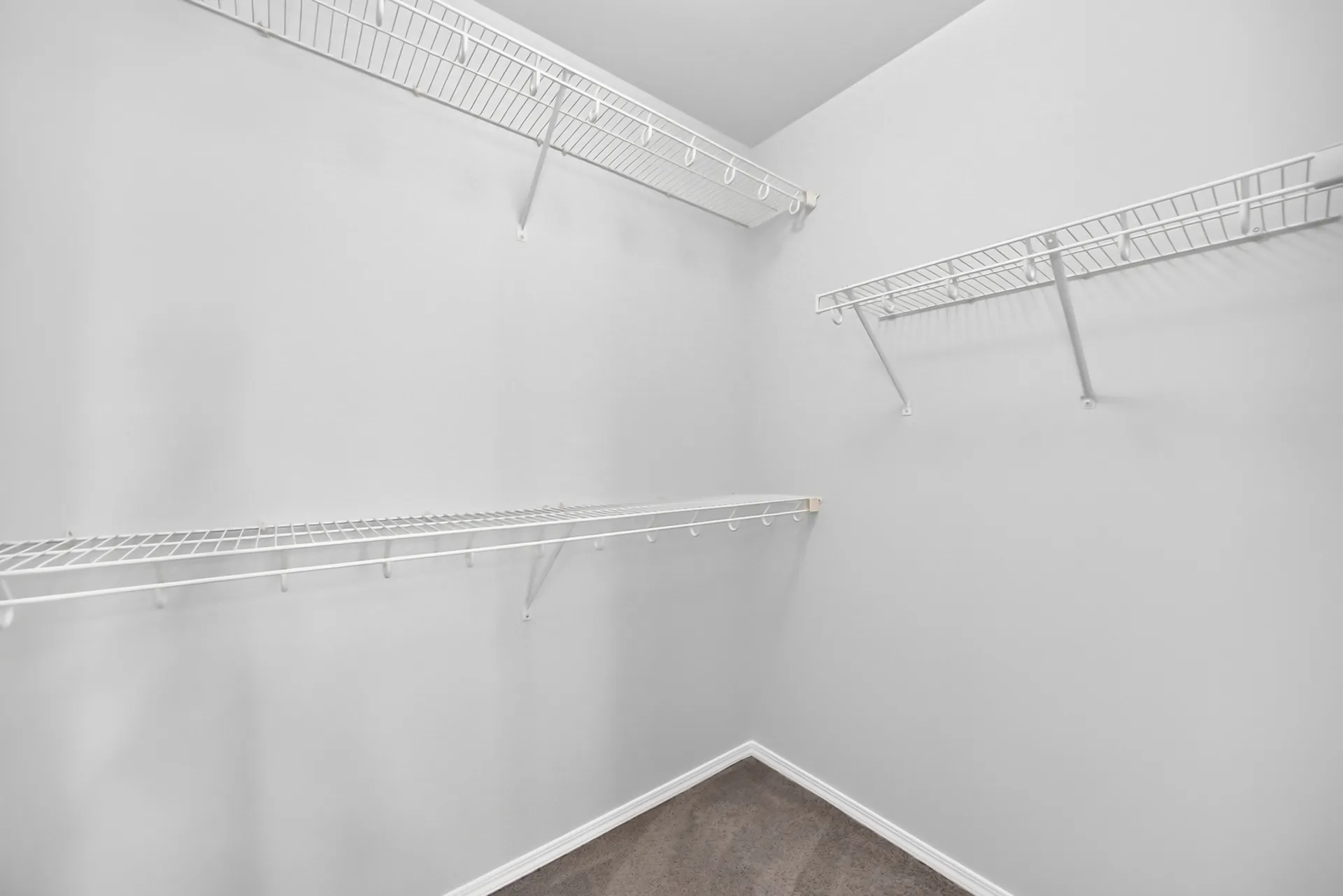 Walk-in closet with shelving
