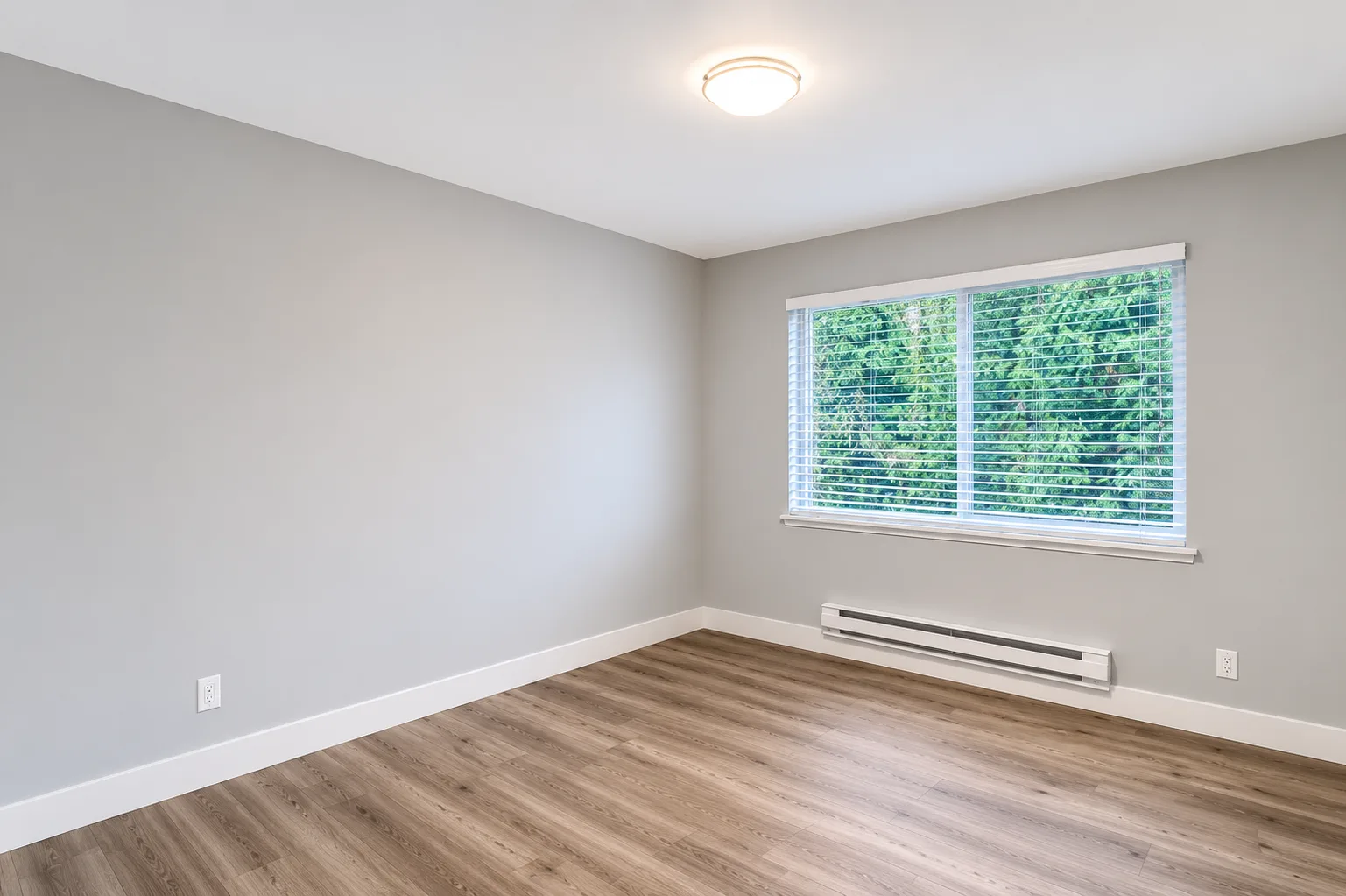 Bedroom with light gray walls and wood-look flooring