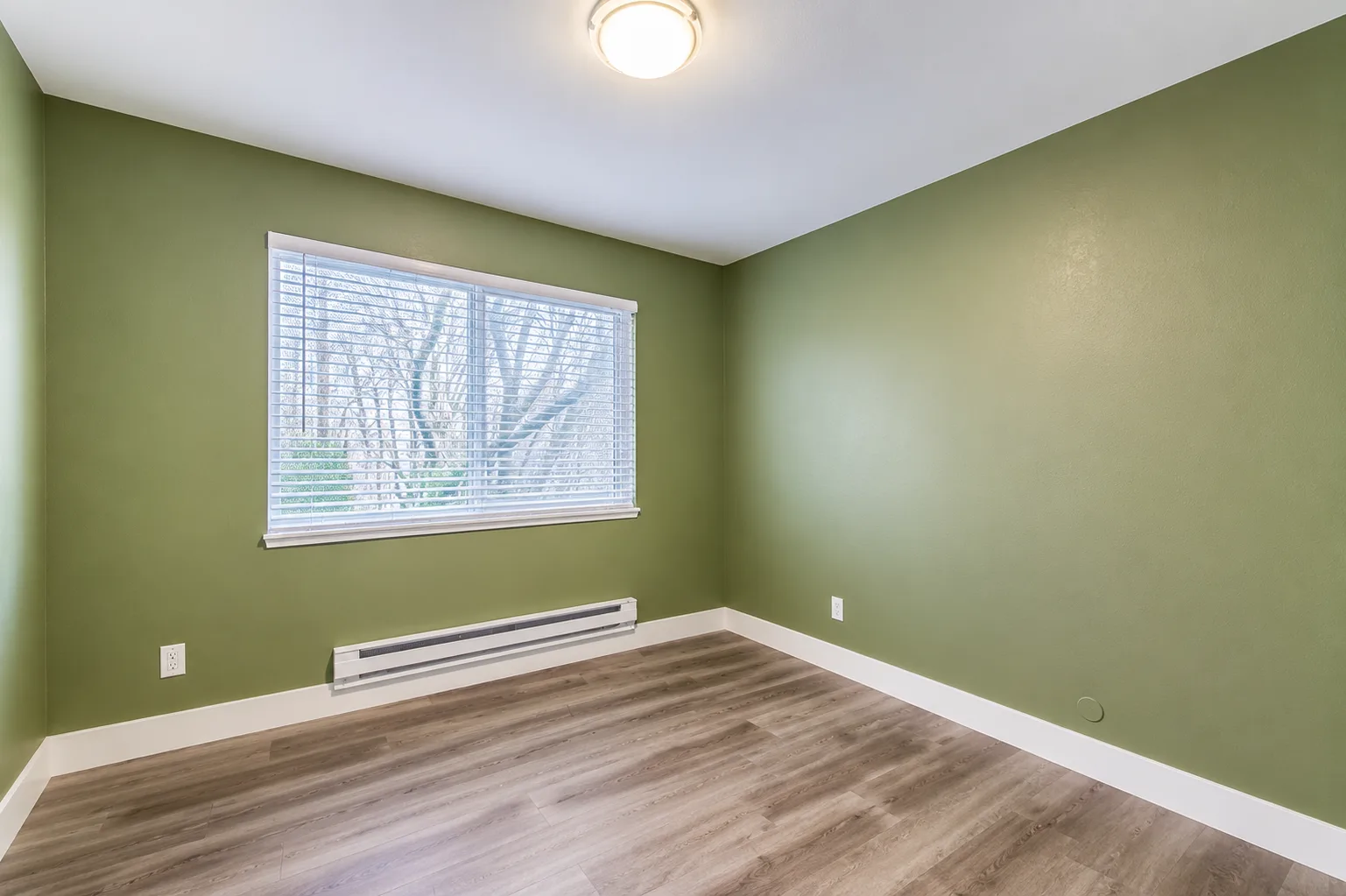 Bedroom with sage green walls and wood-look flooring