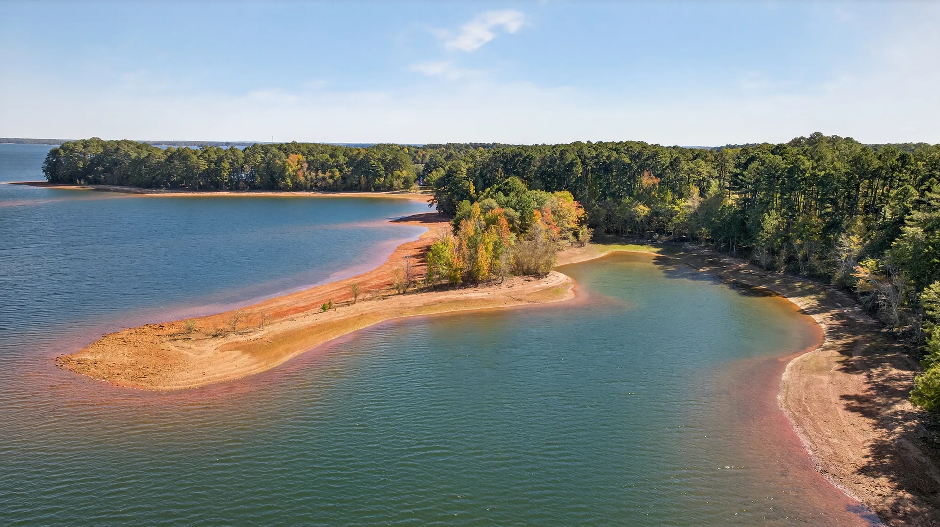 Natural shoreline of Lake Hartwell with dense pine forest and rugged banks