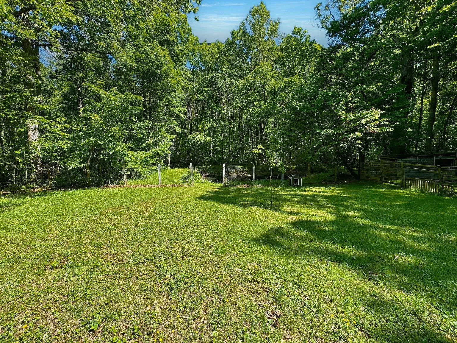 Backyard view with large lawn and dense mature trees