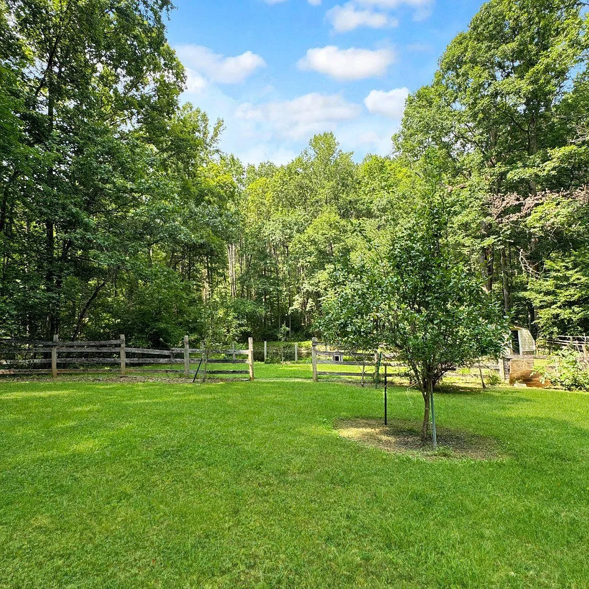 Backyard with mature trees, grass lawn, and split-rail fencing