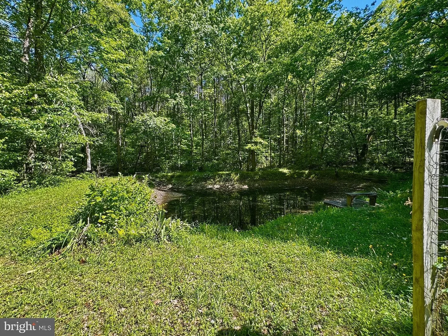Private pond surrounded by mature trees