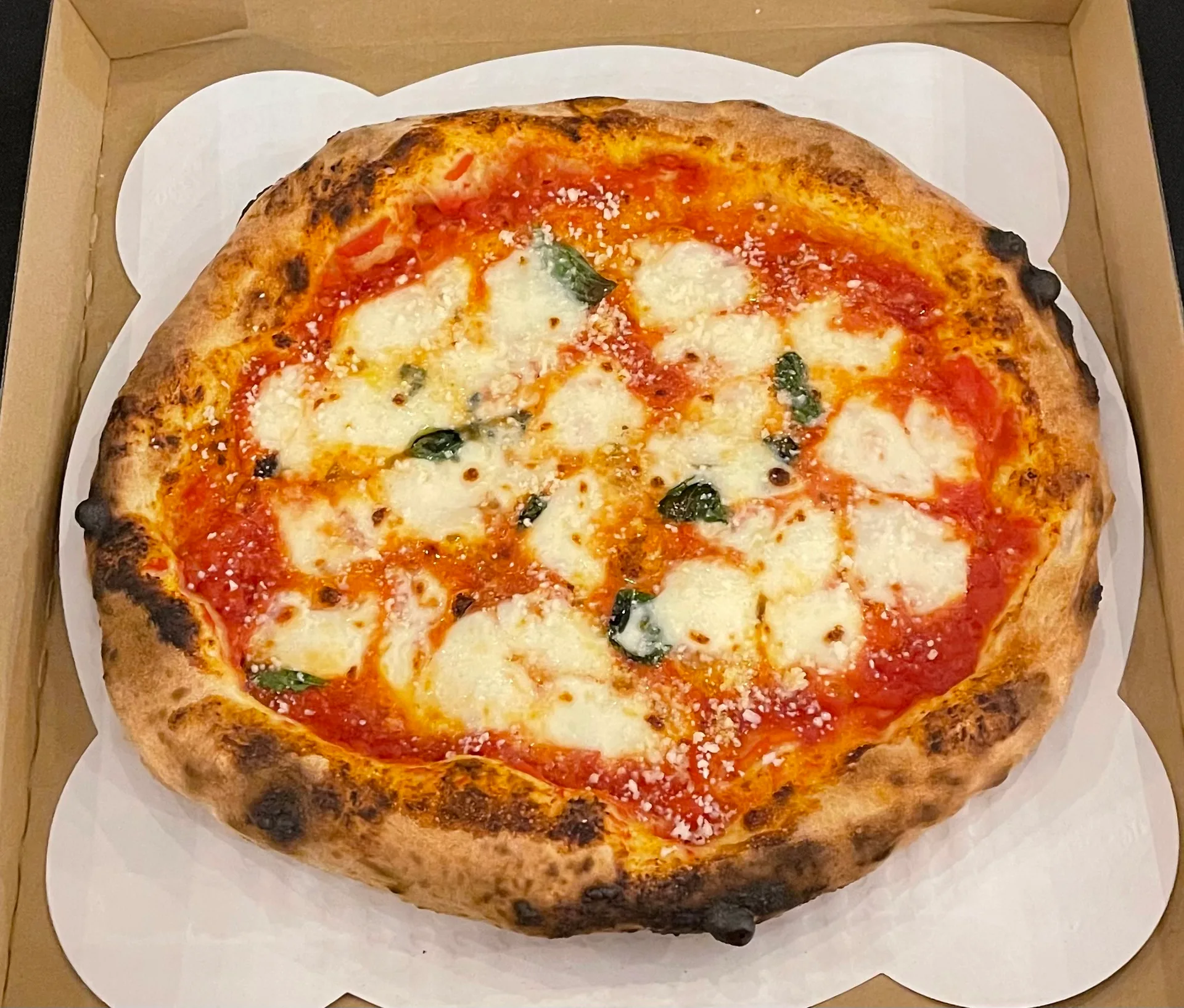 Wood-fired Margherita pizza with blistered crust, San Marzano tomato sauce, fresh mozzarella, and basil in a cardboard box