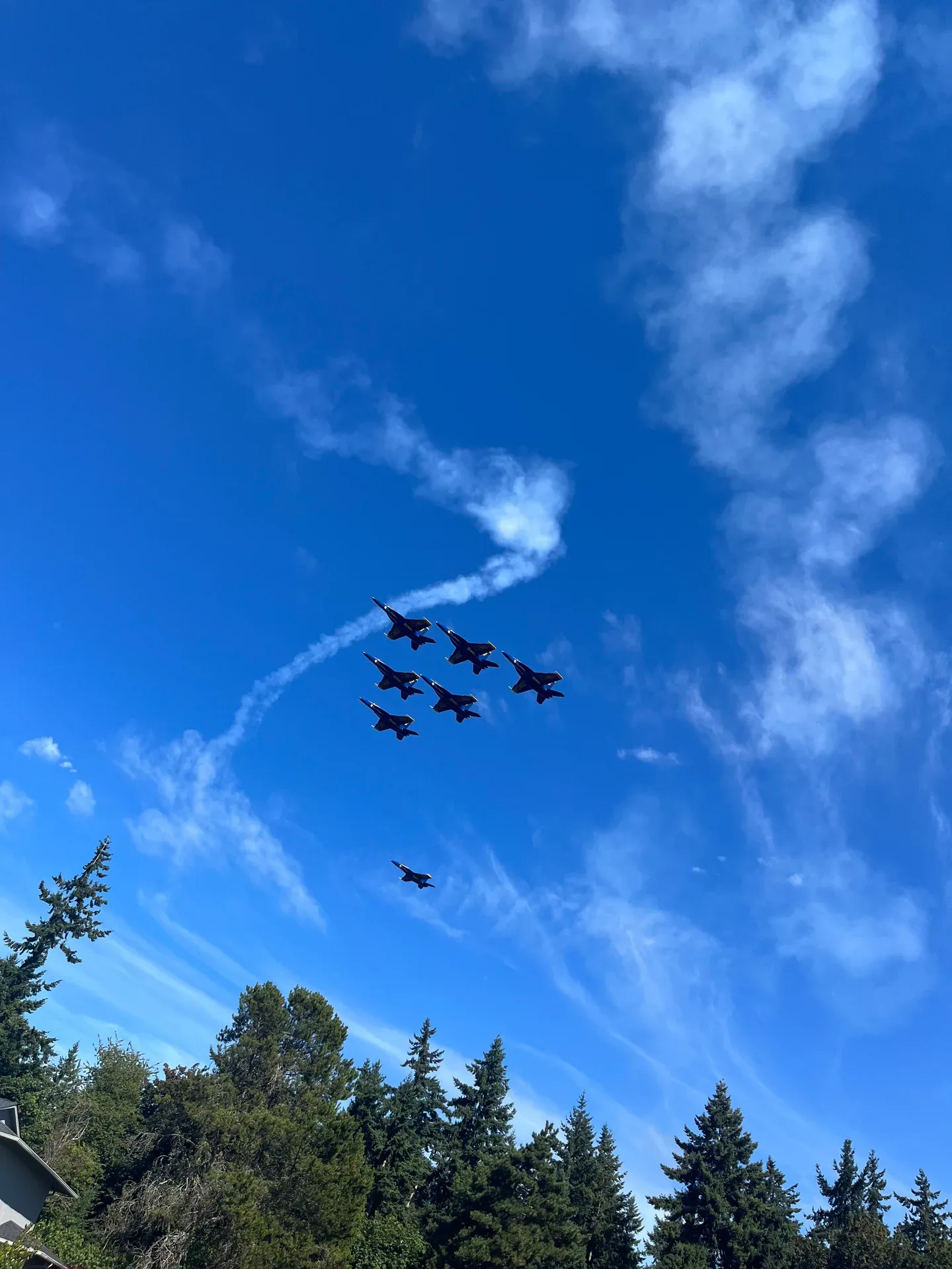 Blue Angels fighter jets flying in formation above a treeline with blue sky visible through the branches during Seafair weekend