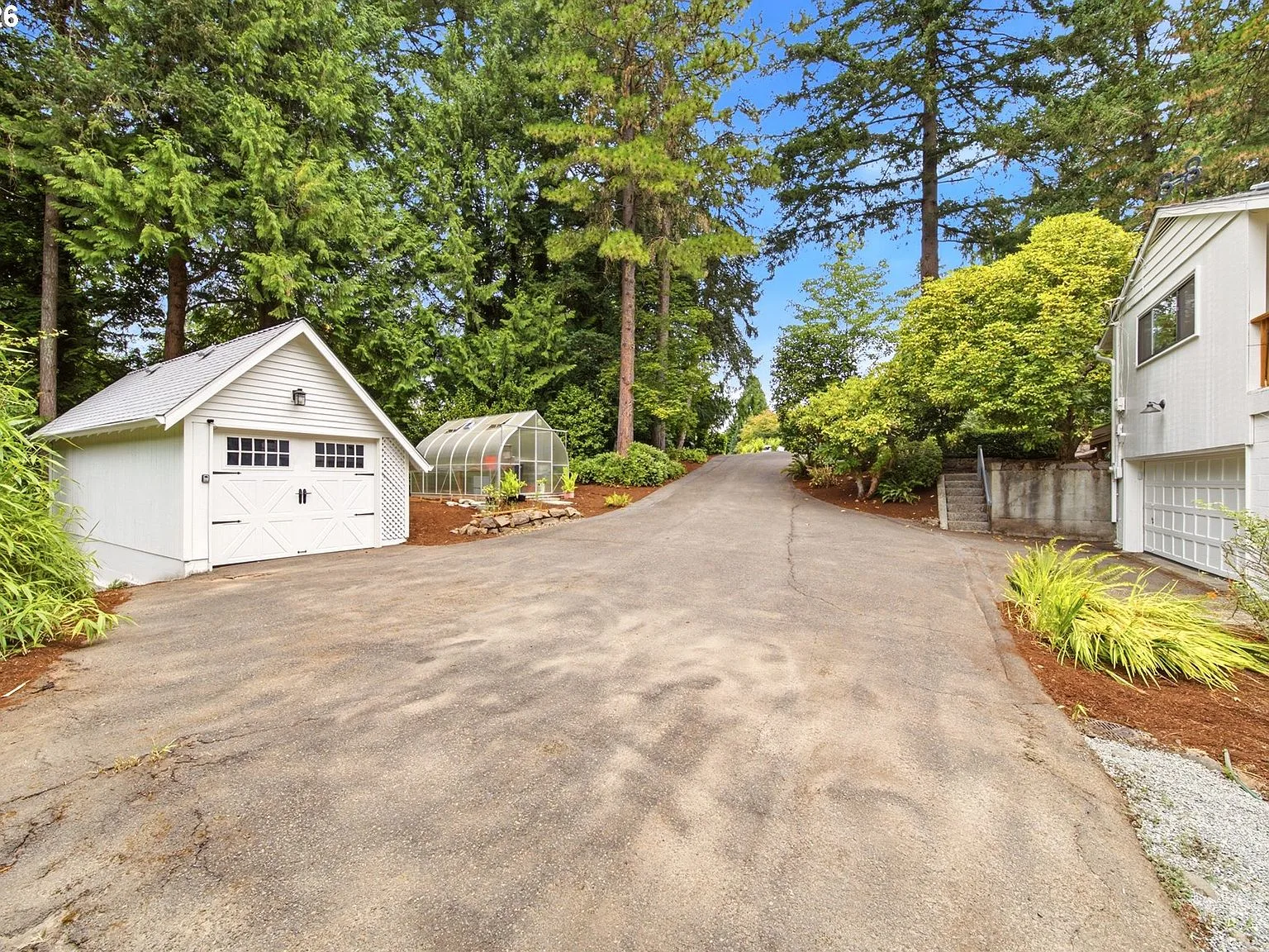 Detached garage and glass greenhouse among mature fir trees