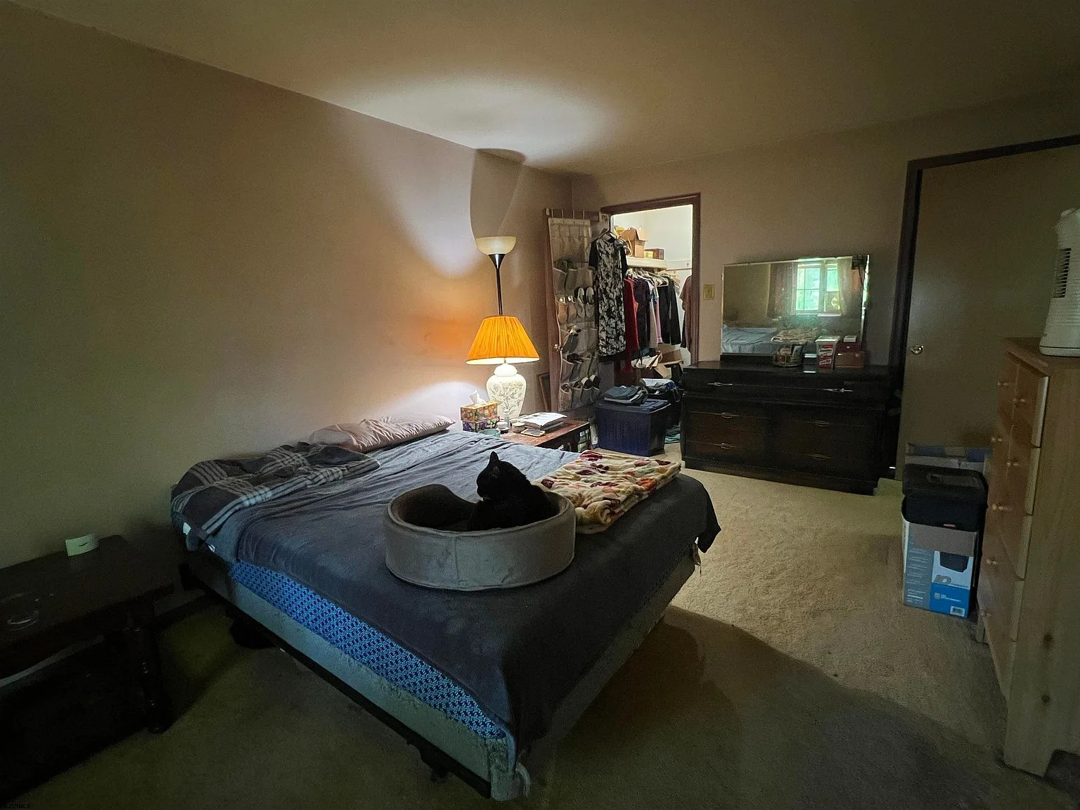 Primary bedroom with neutral walls and carpet