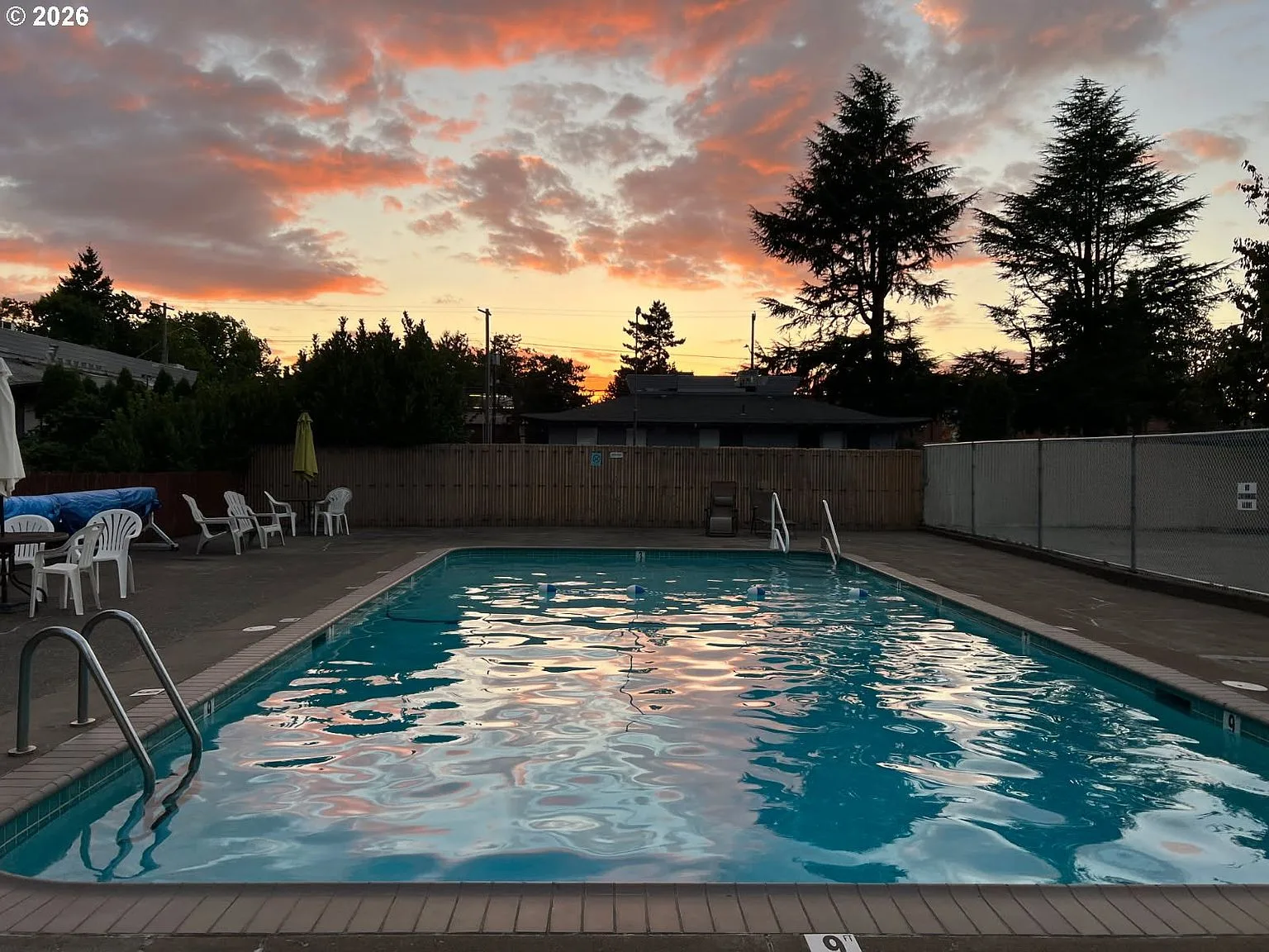 Community swimming pool at golden hour surrounded by trees