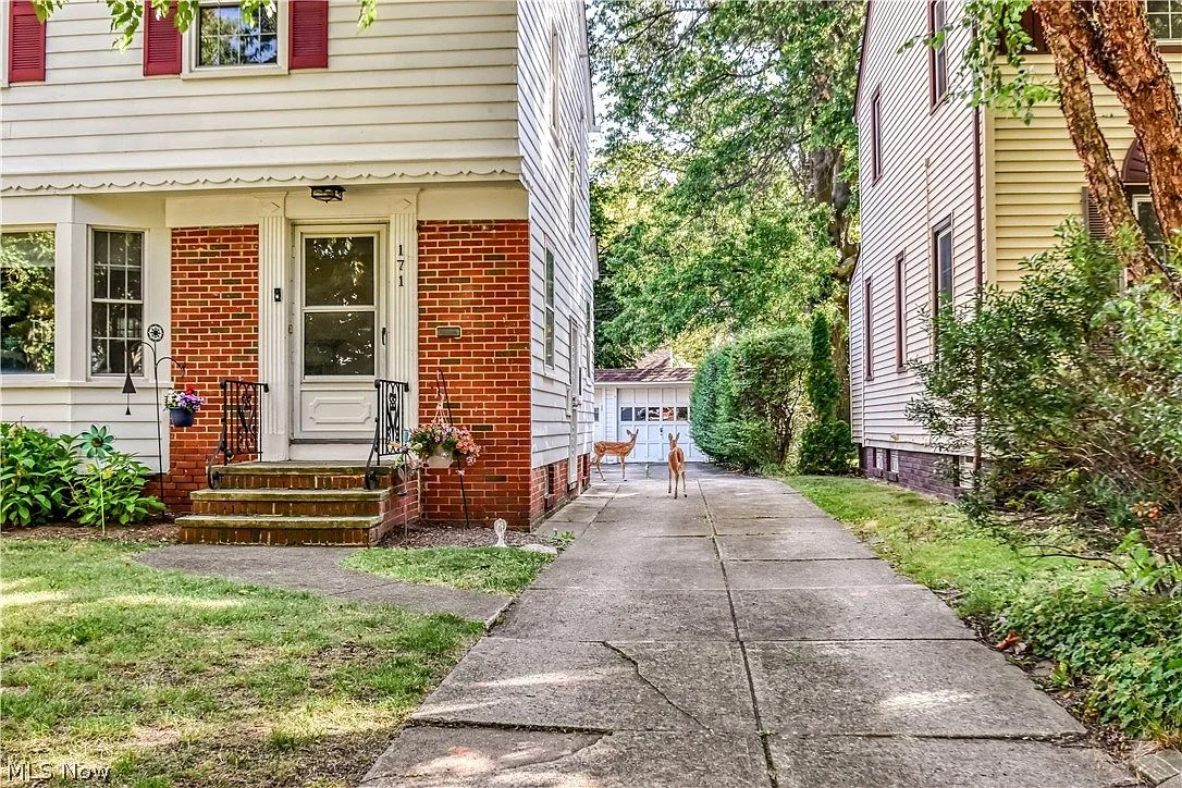 Side-angle view of 171 E 212th St showing the driveway, red shutters, and welcoming entrance