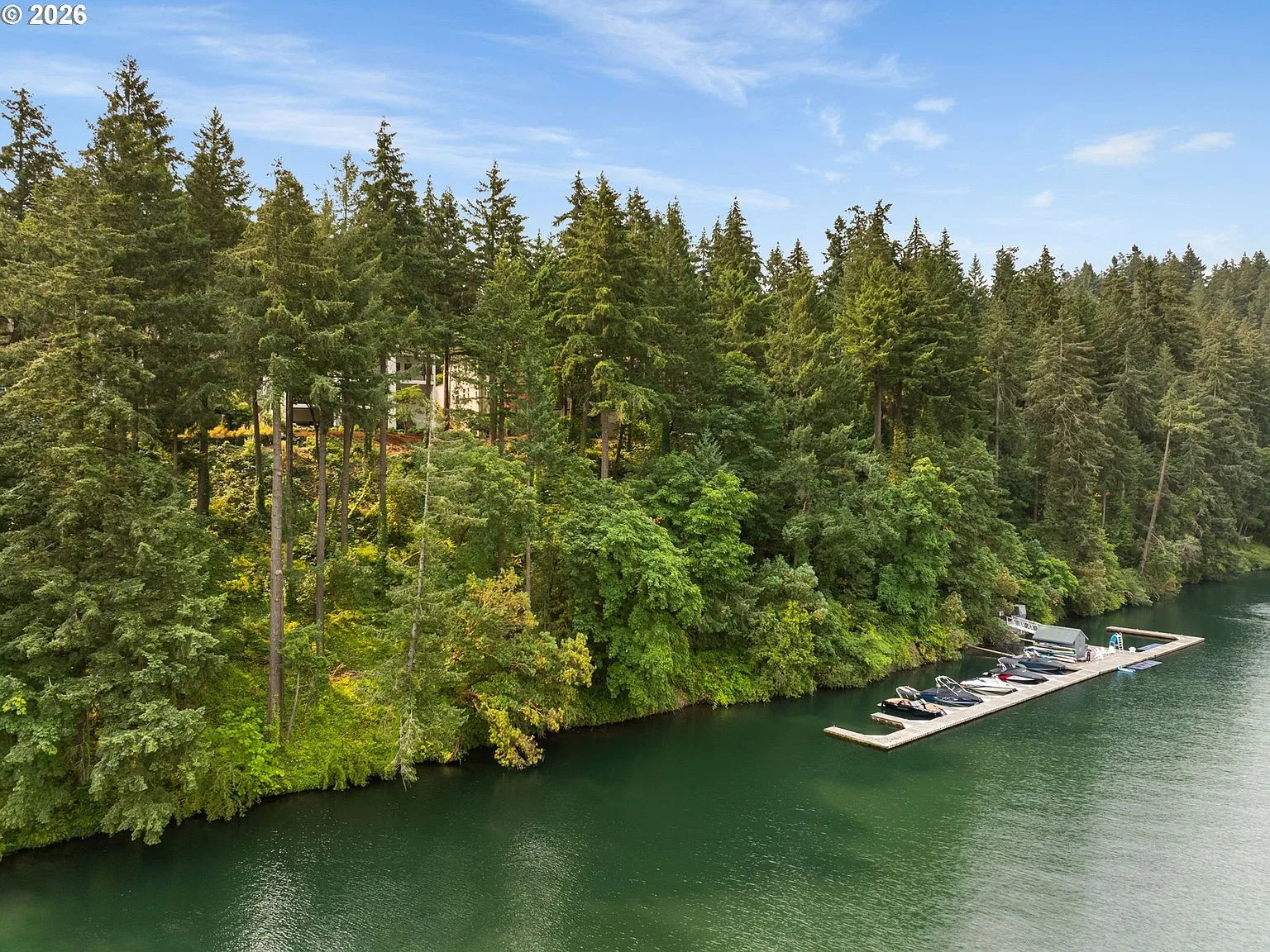 Aerial view of Oswego Lake and the wooded hillside that holds the property