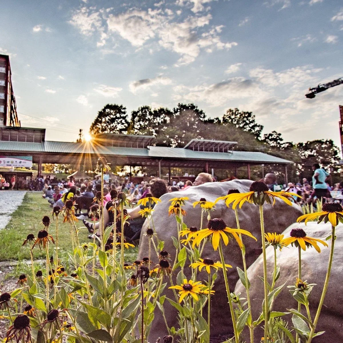 Community outdoor event on a summer day near Durham