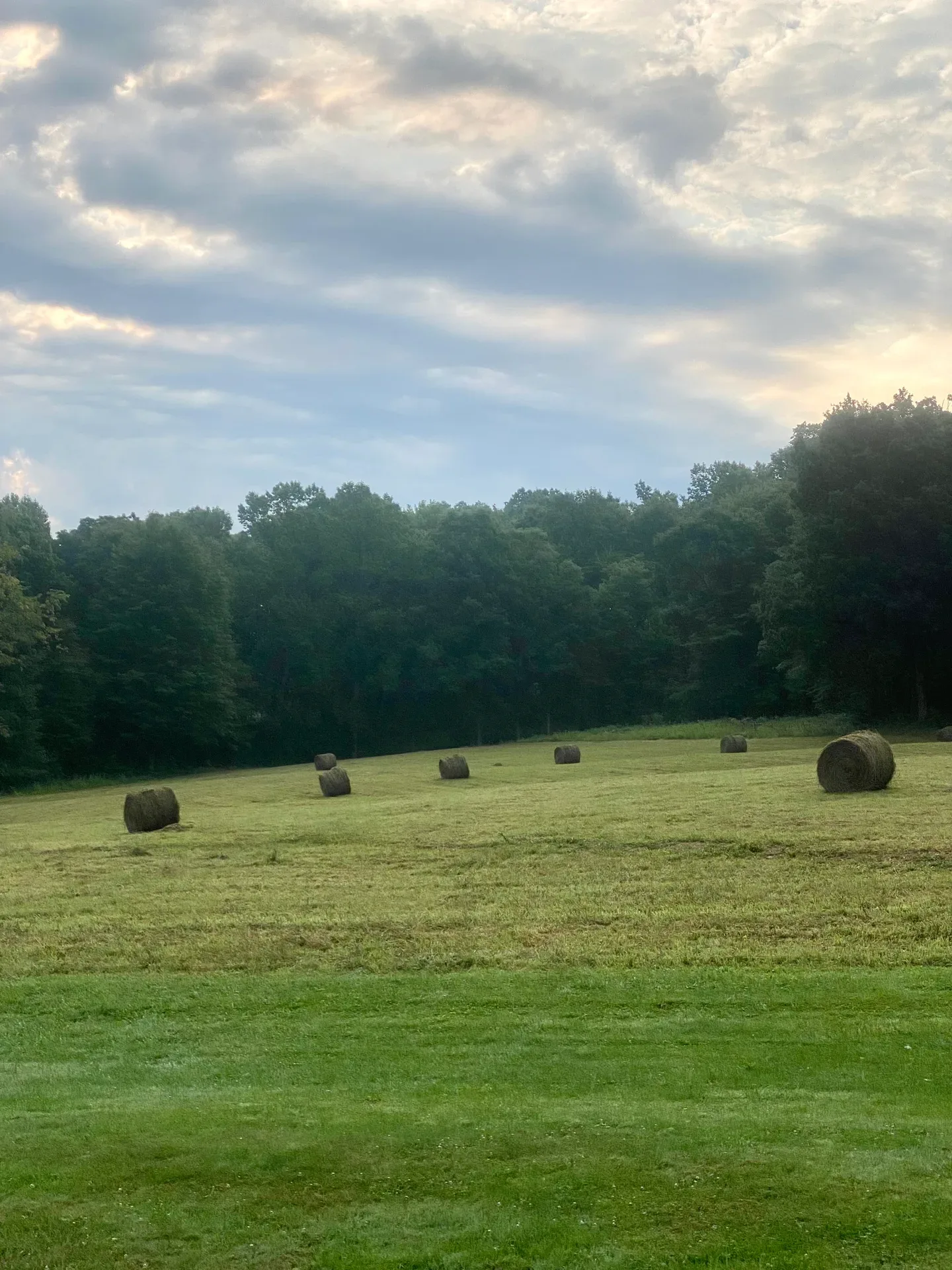 A scenic rural field with hay bales in Indiana County, PA