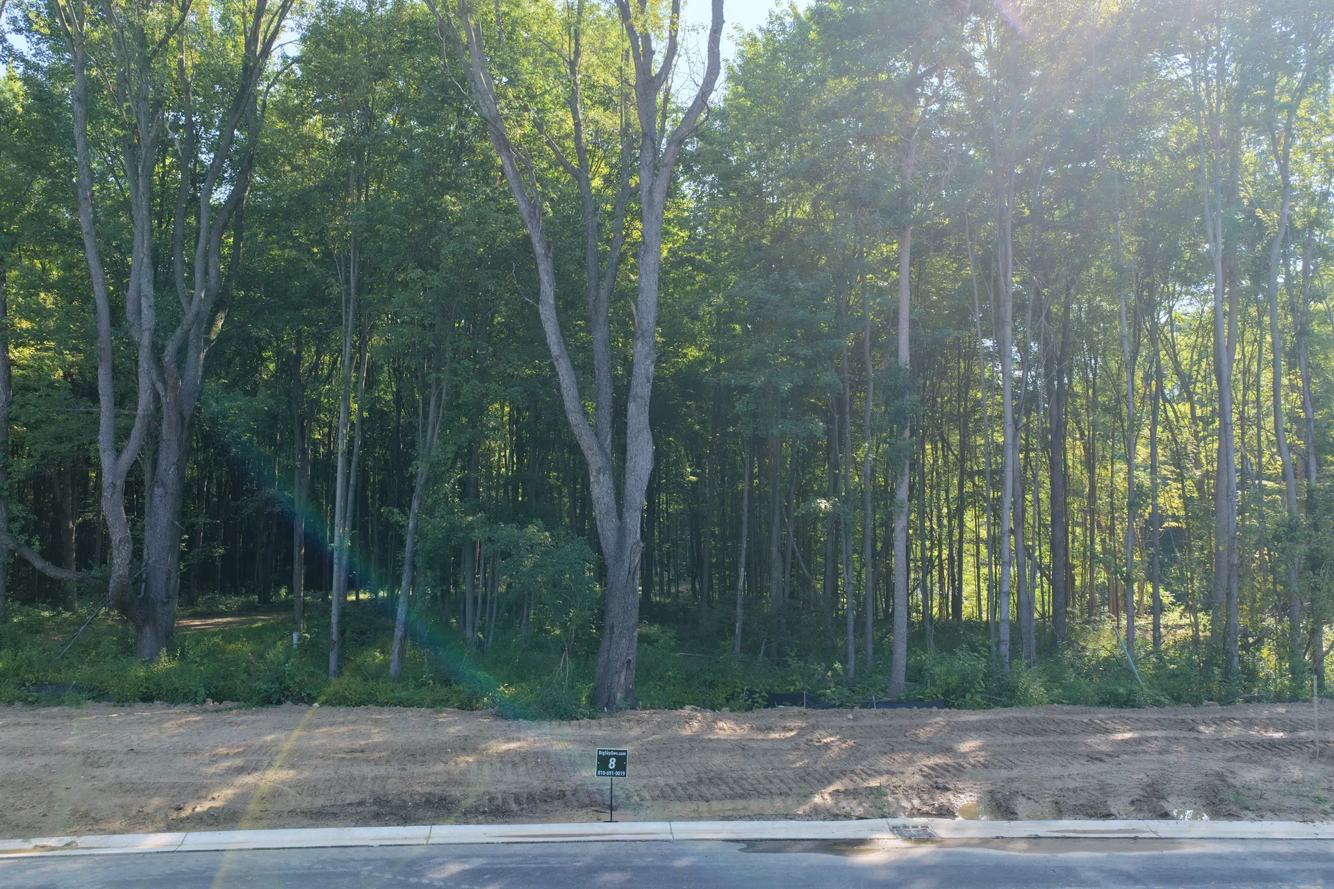 Drone view of a wooded vacant lot at Oaks of Tyrone showing dense mature trees and natural clearing in Livingston County Michigan