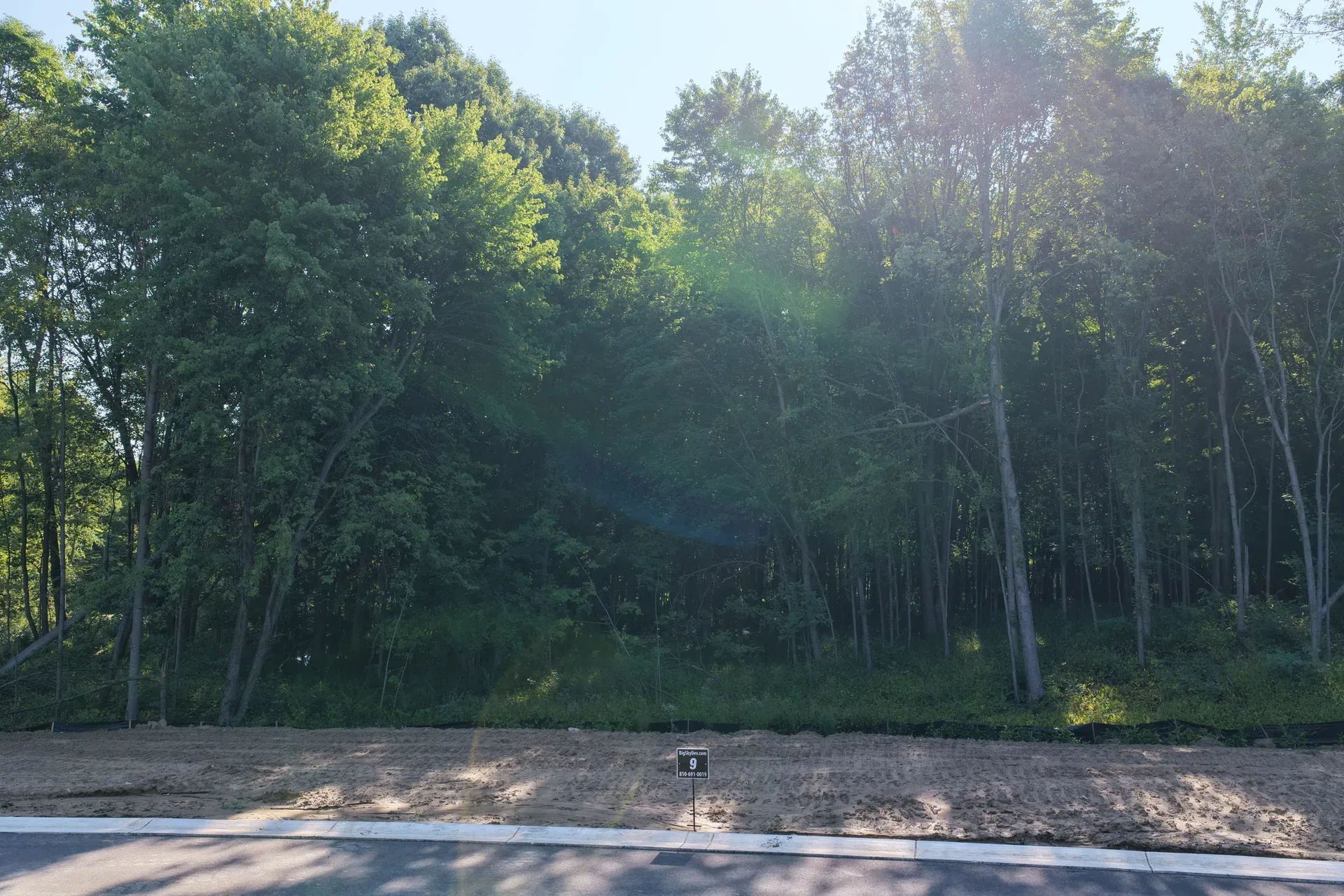 Aerial photo of a vacant wooded lot at Oaks of Tyrone with tall trees and natural undergrowth in Tyrone Township