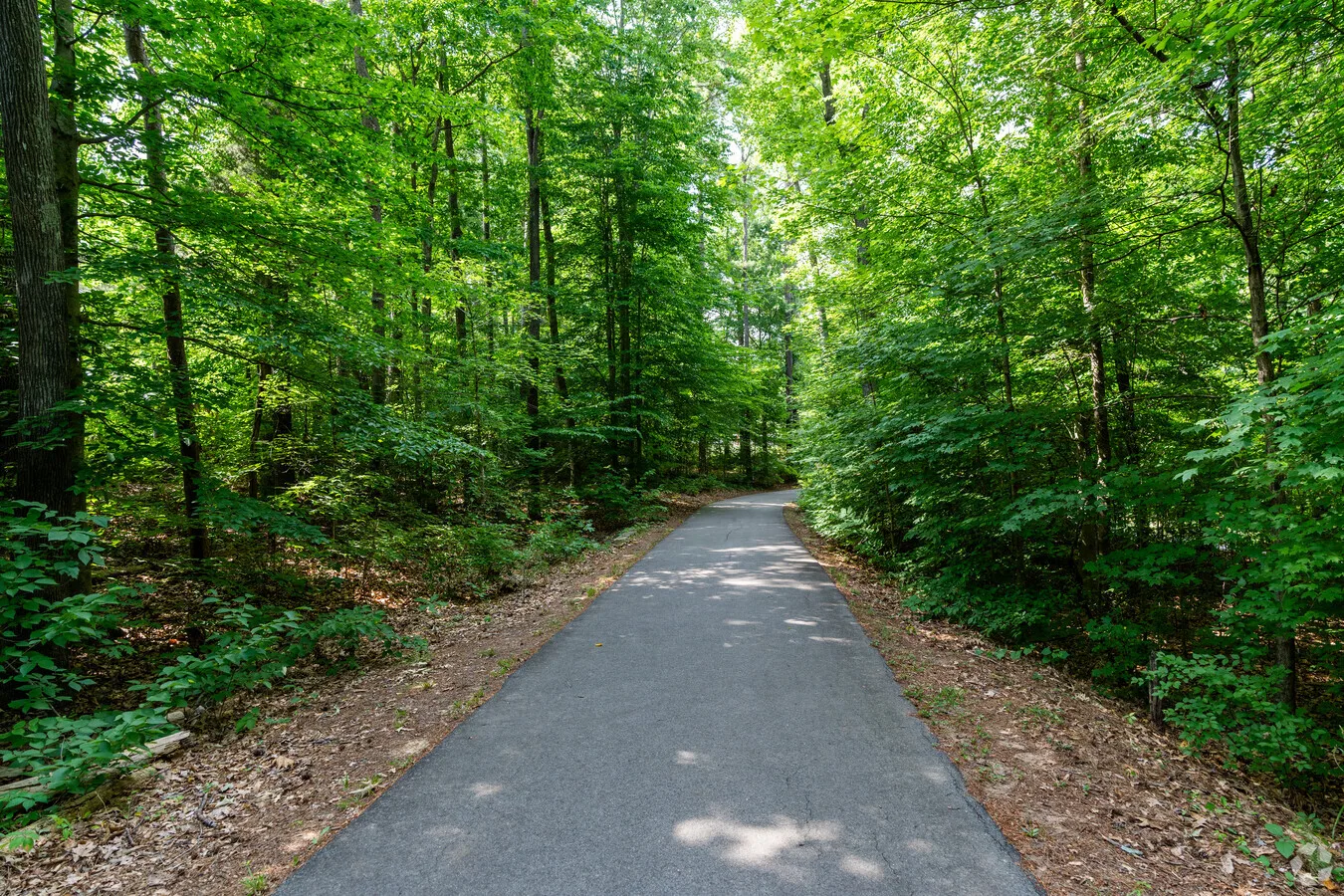 Paved path winding through a forested greenway near Woodcroft in southwest Durham