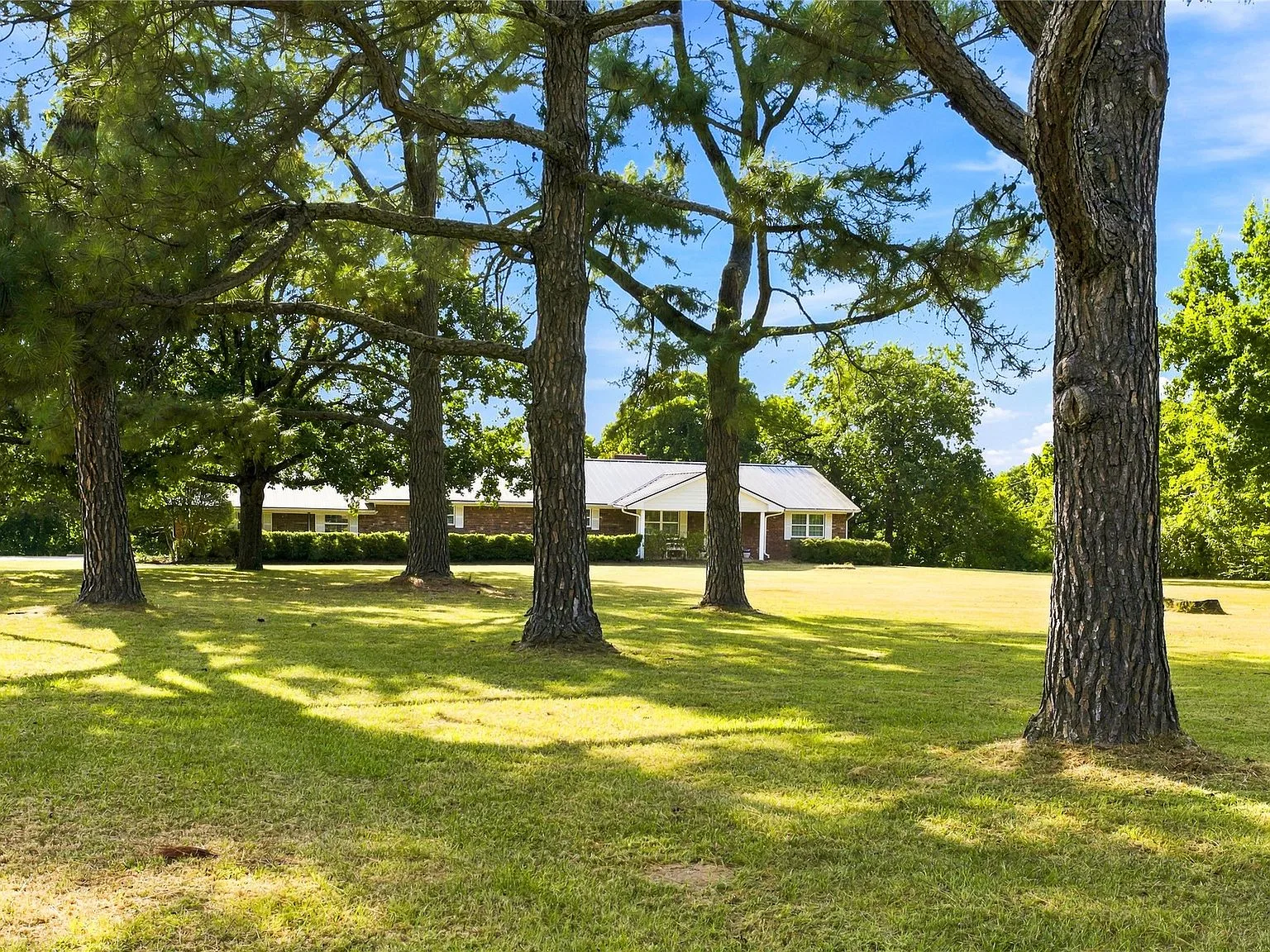 Exterior of the ranch home at 4723 Theresa Dr, framed by mature pine trees in Denison, Texas