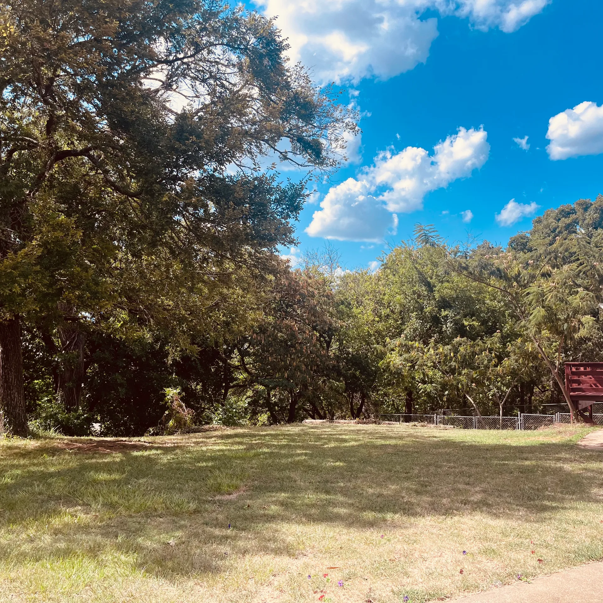 Expansive wooded backyard with mature pines and oaks on over two private acres