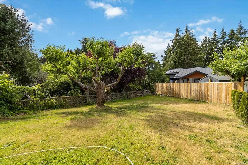 Backyard with large central tree, lawn, and wood fencing along the property line