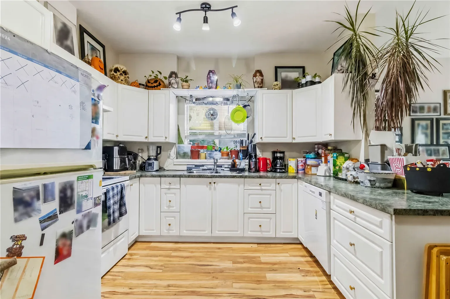 Legal-suite kitchen shown as currently occupied with countertop appliances and daily items
