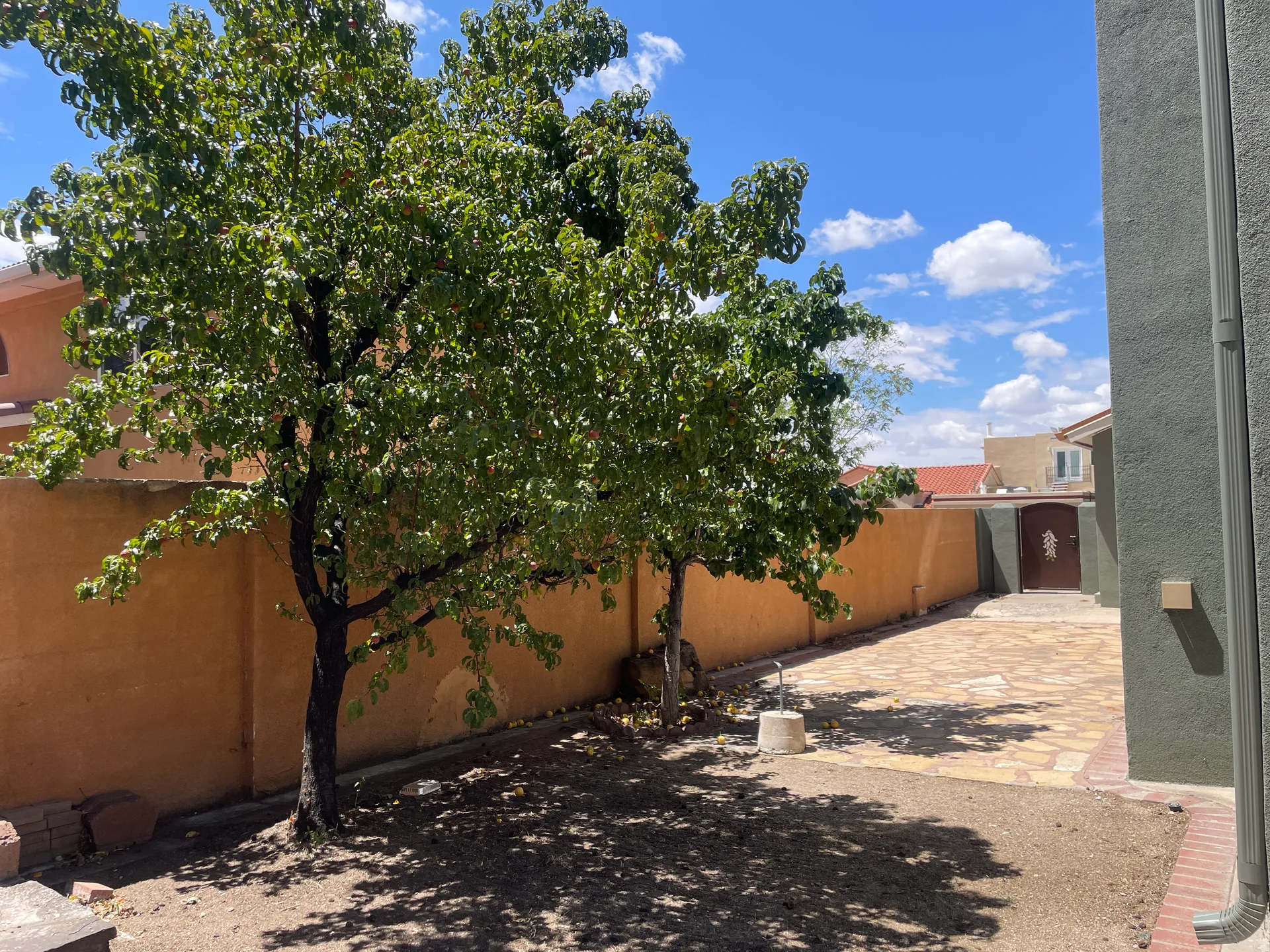 Backyard patio with stucco walls, paved stone, and mature trees under a clear blue sky