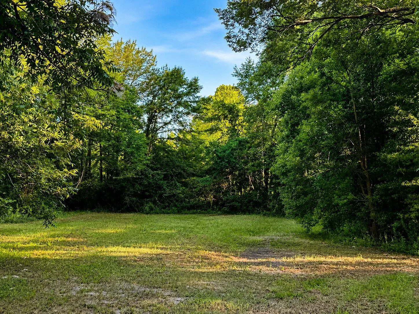 Spacious tree-shaded backyard lot