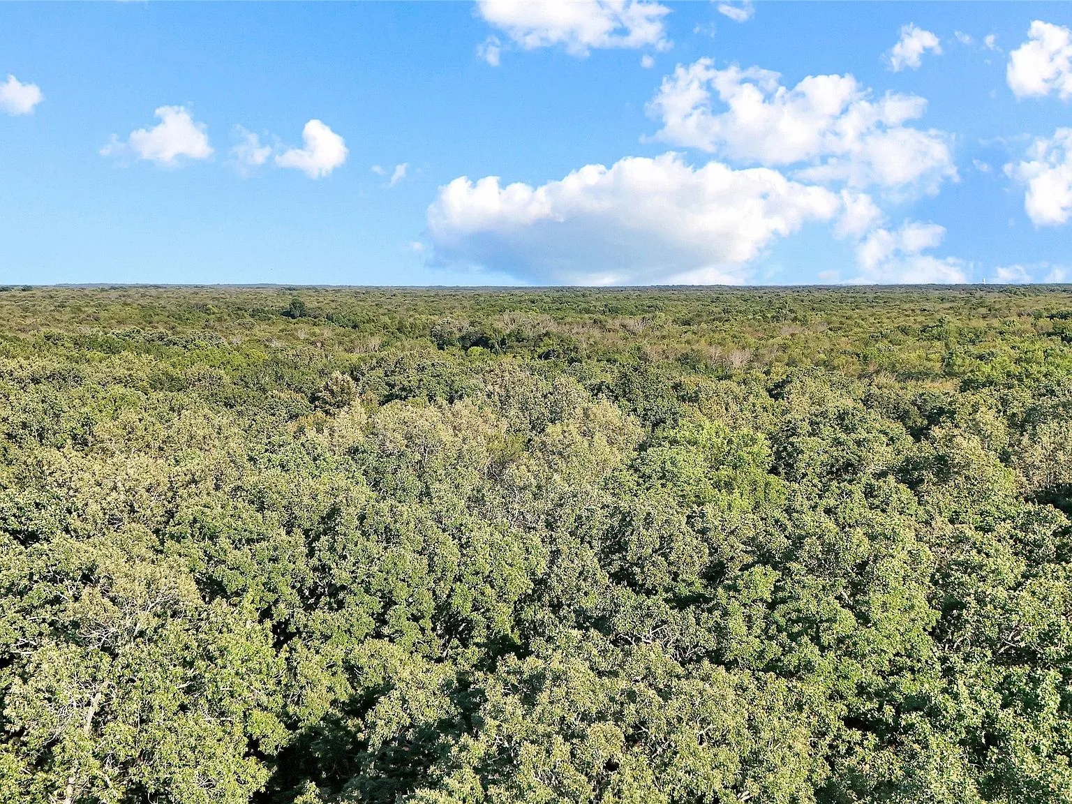 Aerial drone view of vast wooded acreage canopy at the Mustang Creek property near Bogata, Texas