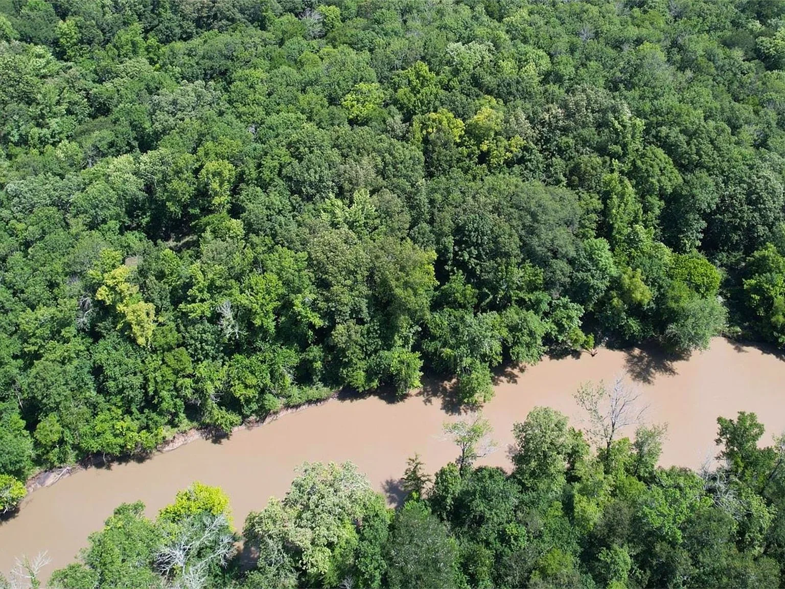 Aerial view of river curving through dense woodland
