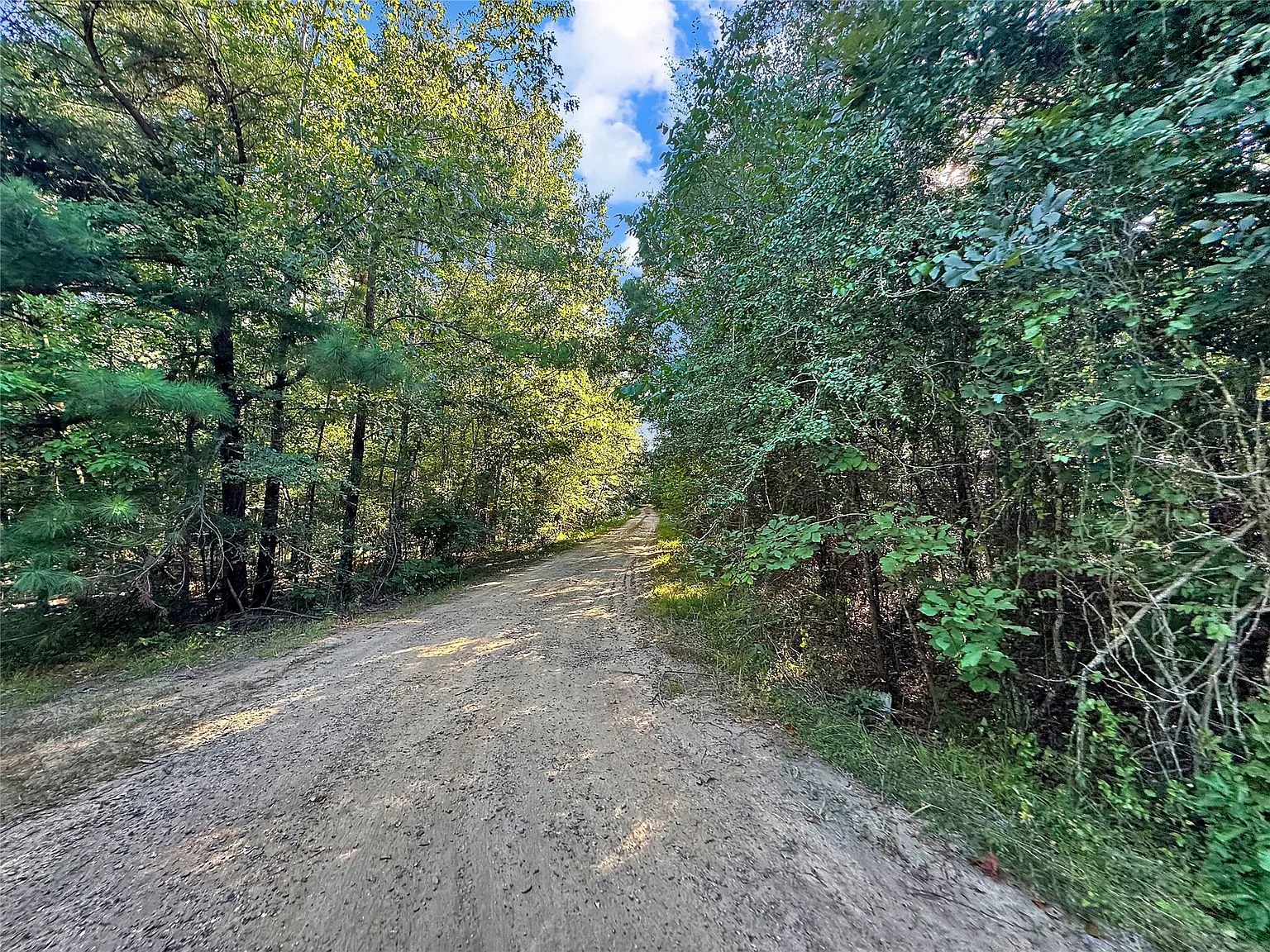 Private gravel road through wooded setting