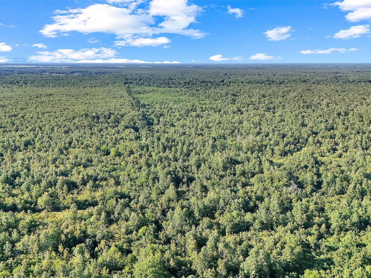 Drone aerial of large wooded property