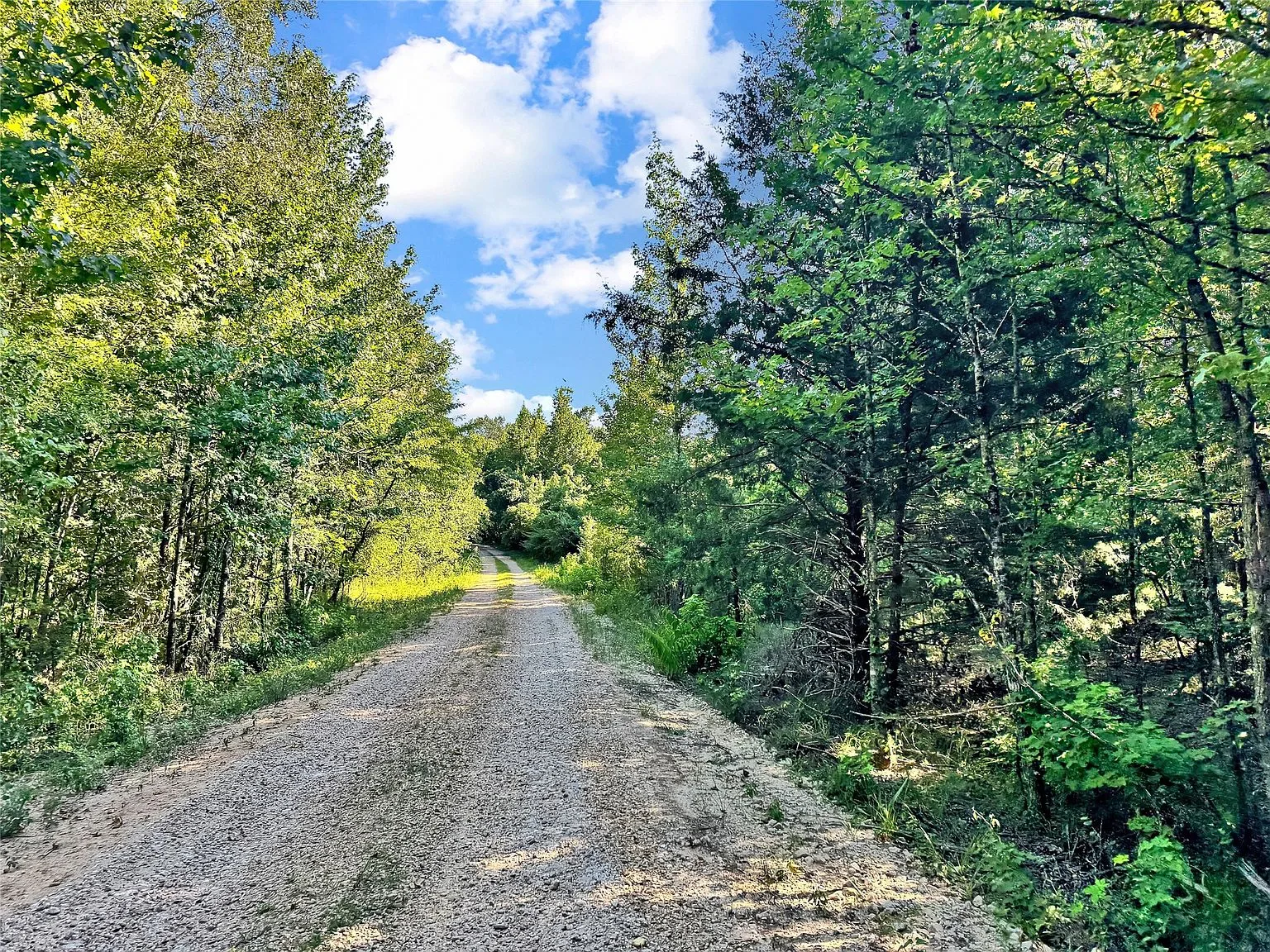 Private gravel trail junction in wooded environment