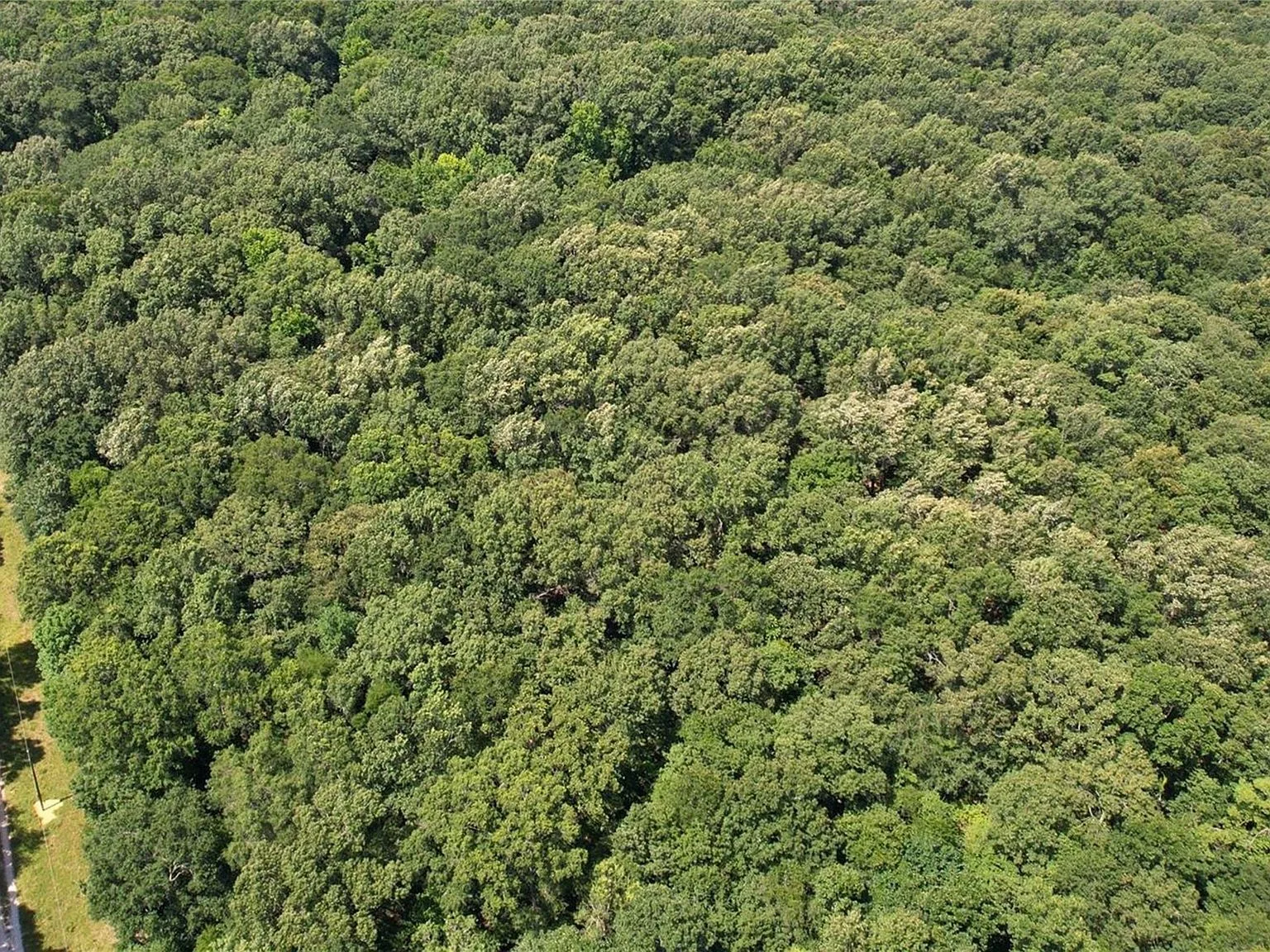 Aerial view of large wooded tract with mature hardwood forest